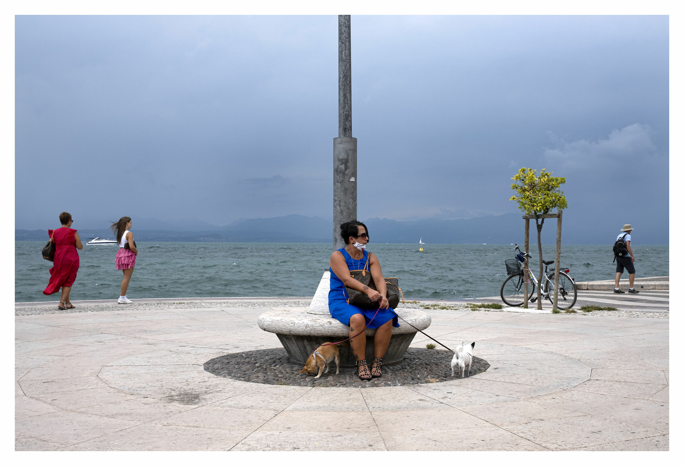 sulla rotonda ... in contemplazione