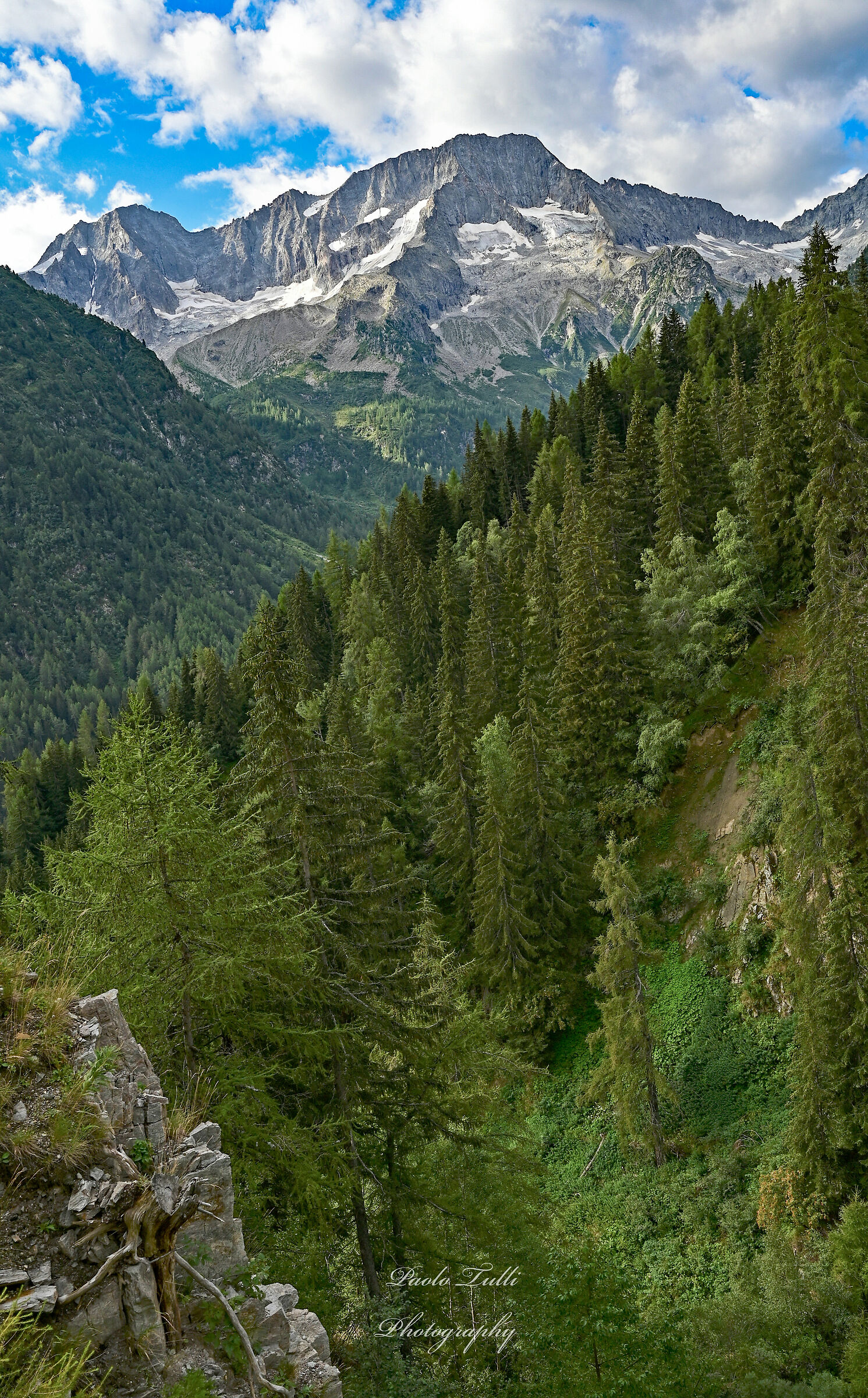 Alps Presanella Chain