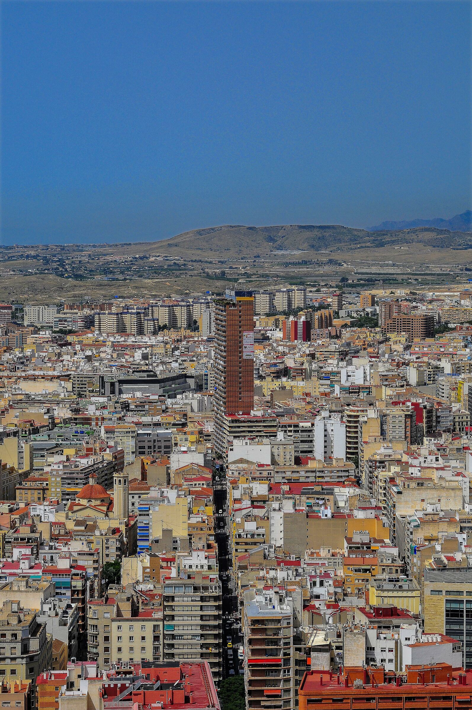 Alicante 3