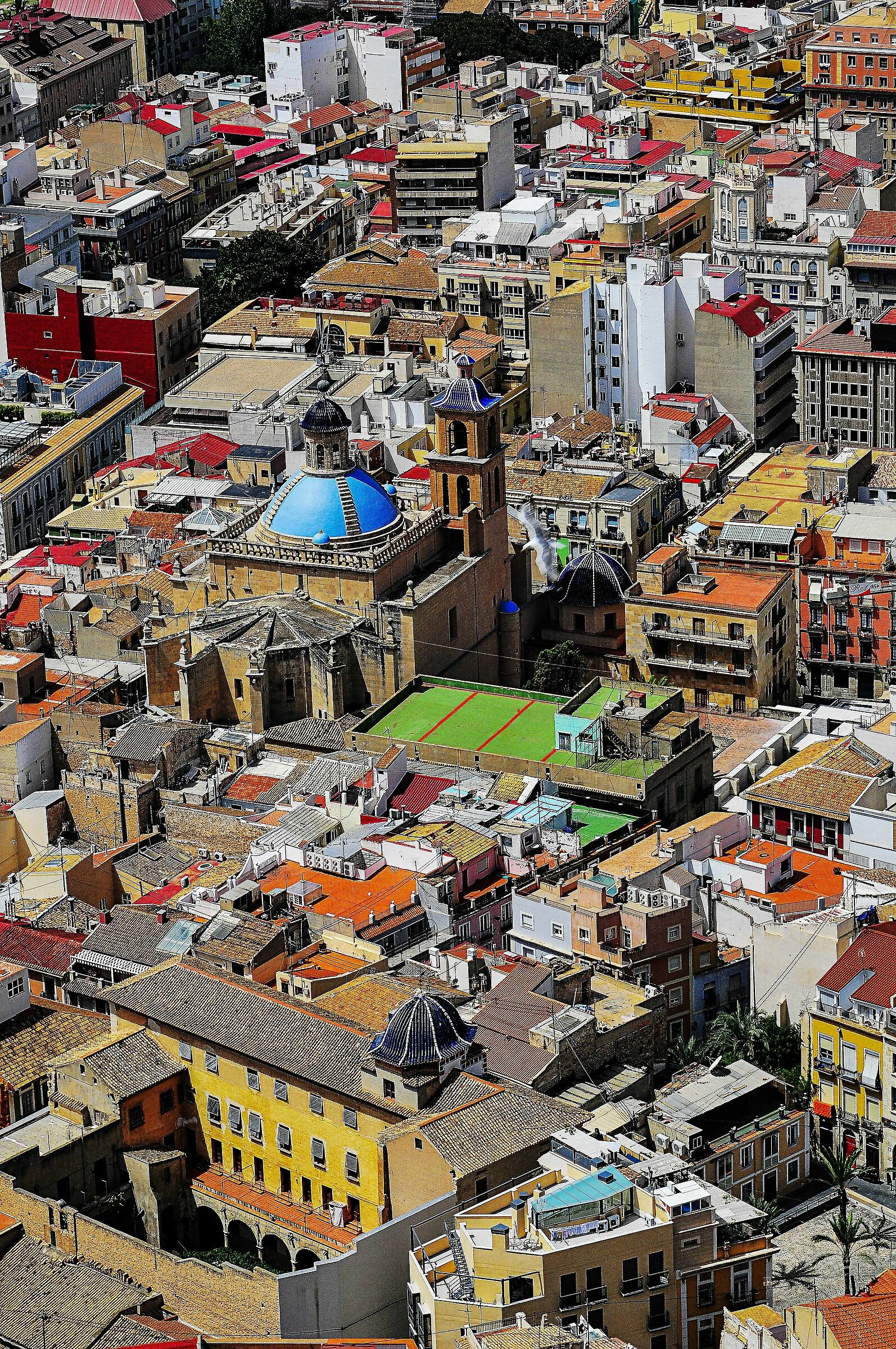 Alicante 4