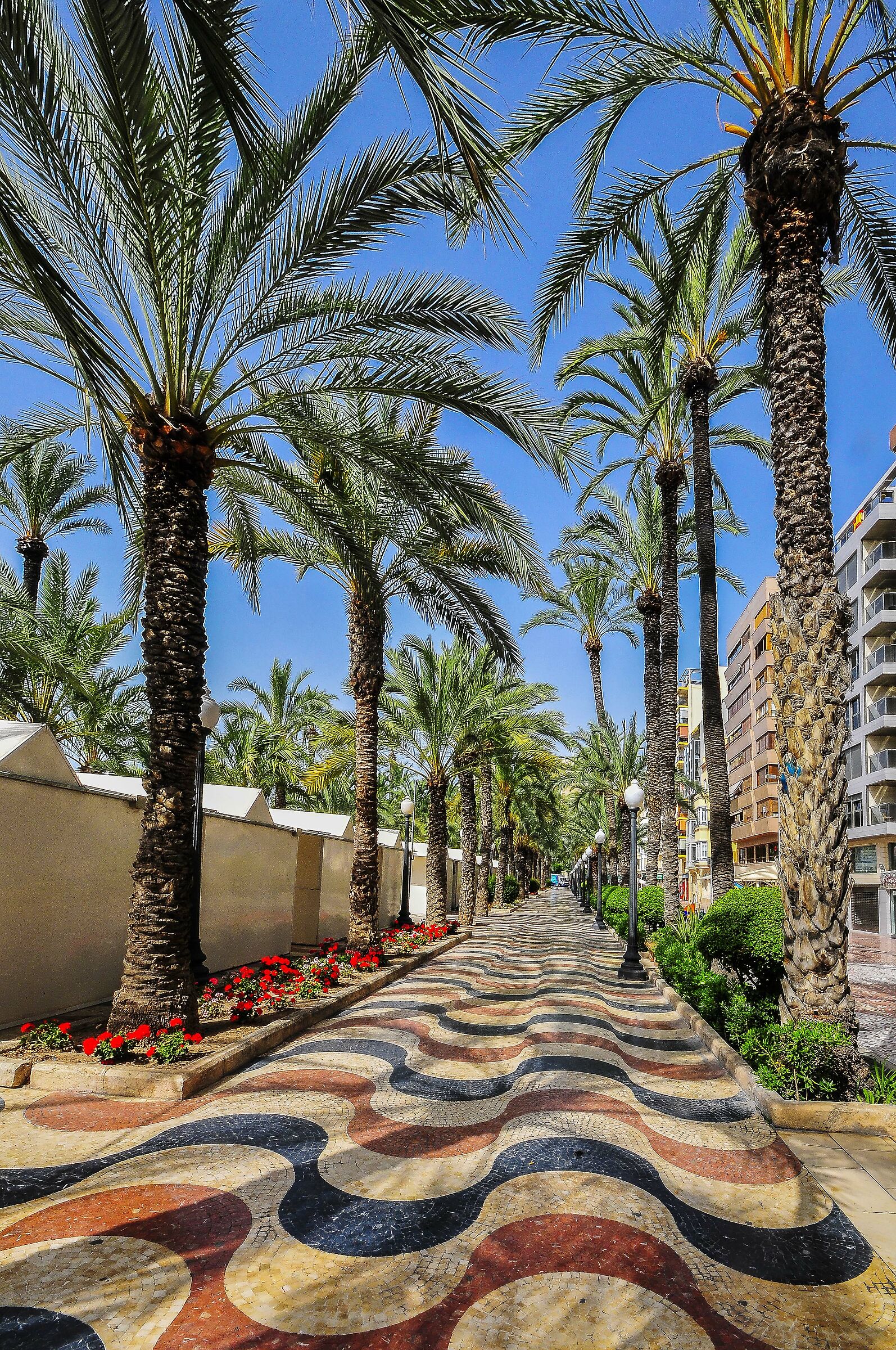 waterfront alicante