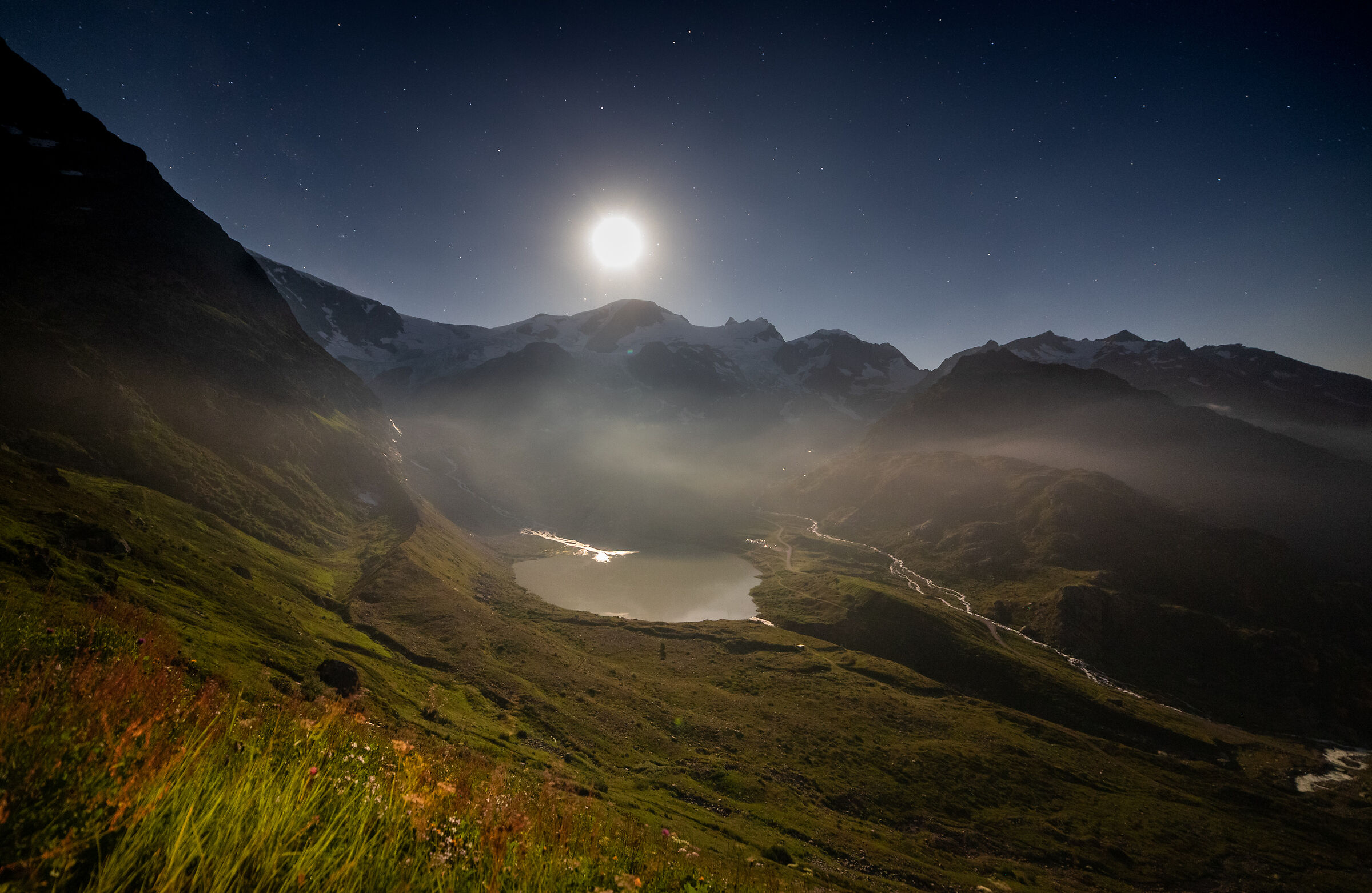 Moonlight