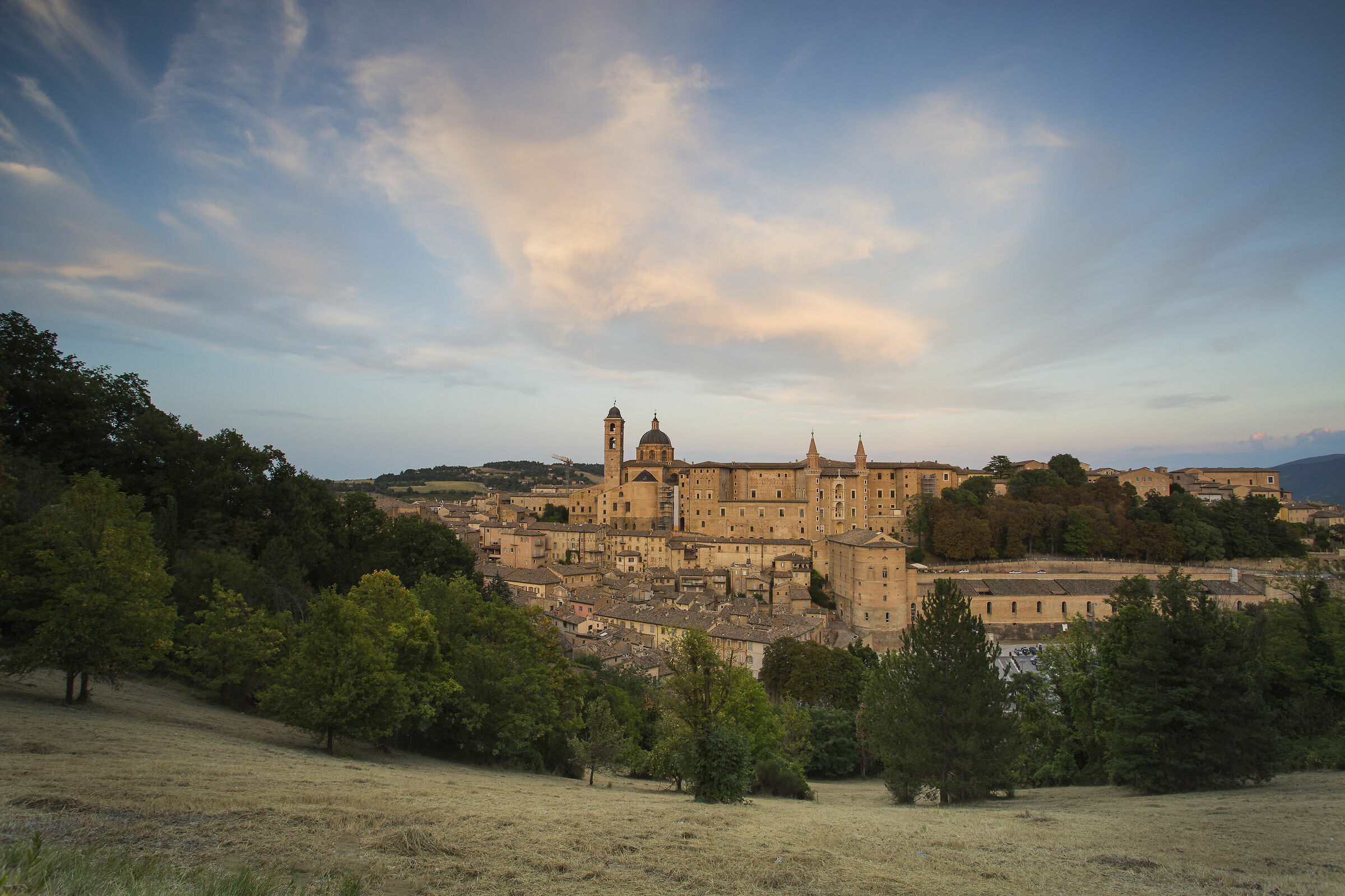 Urbino