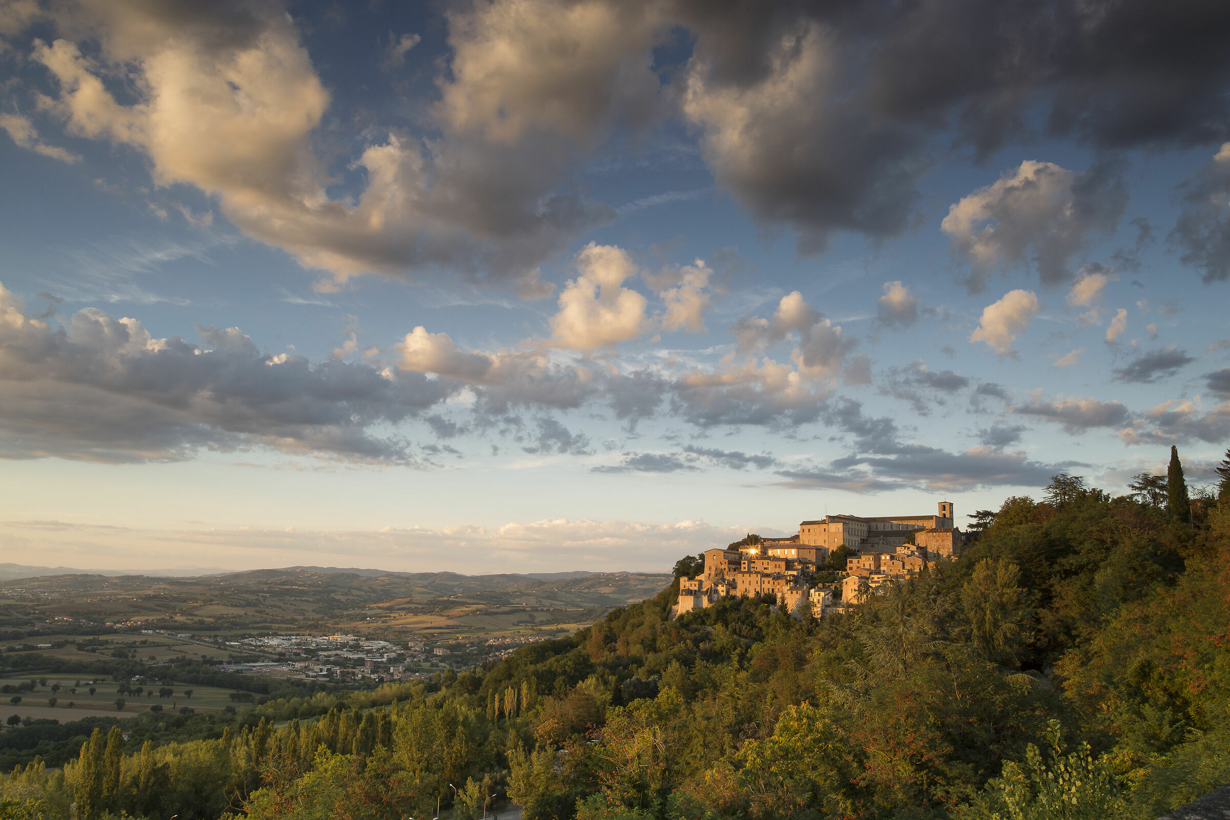 Todi
