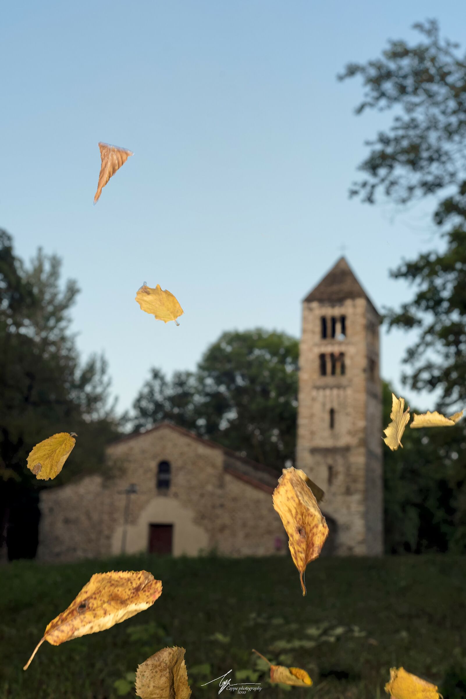 A little early autumn