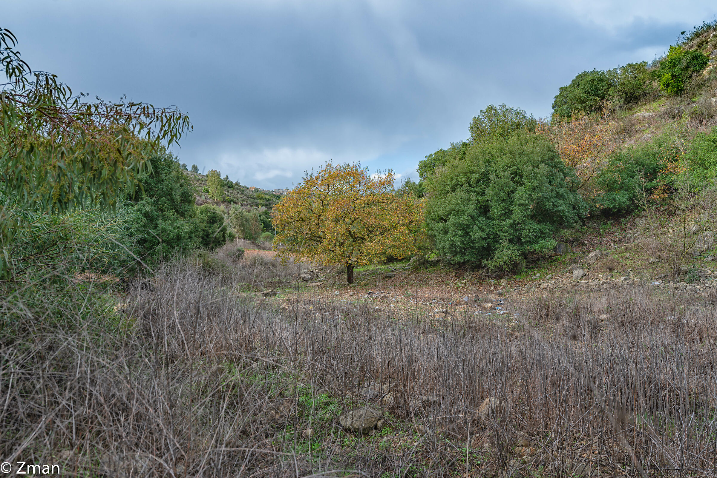 Paesaggio meridionale