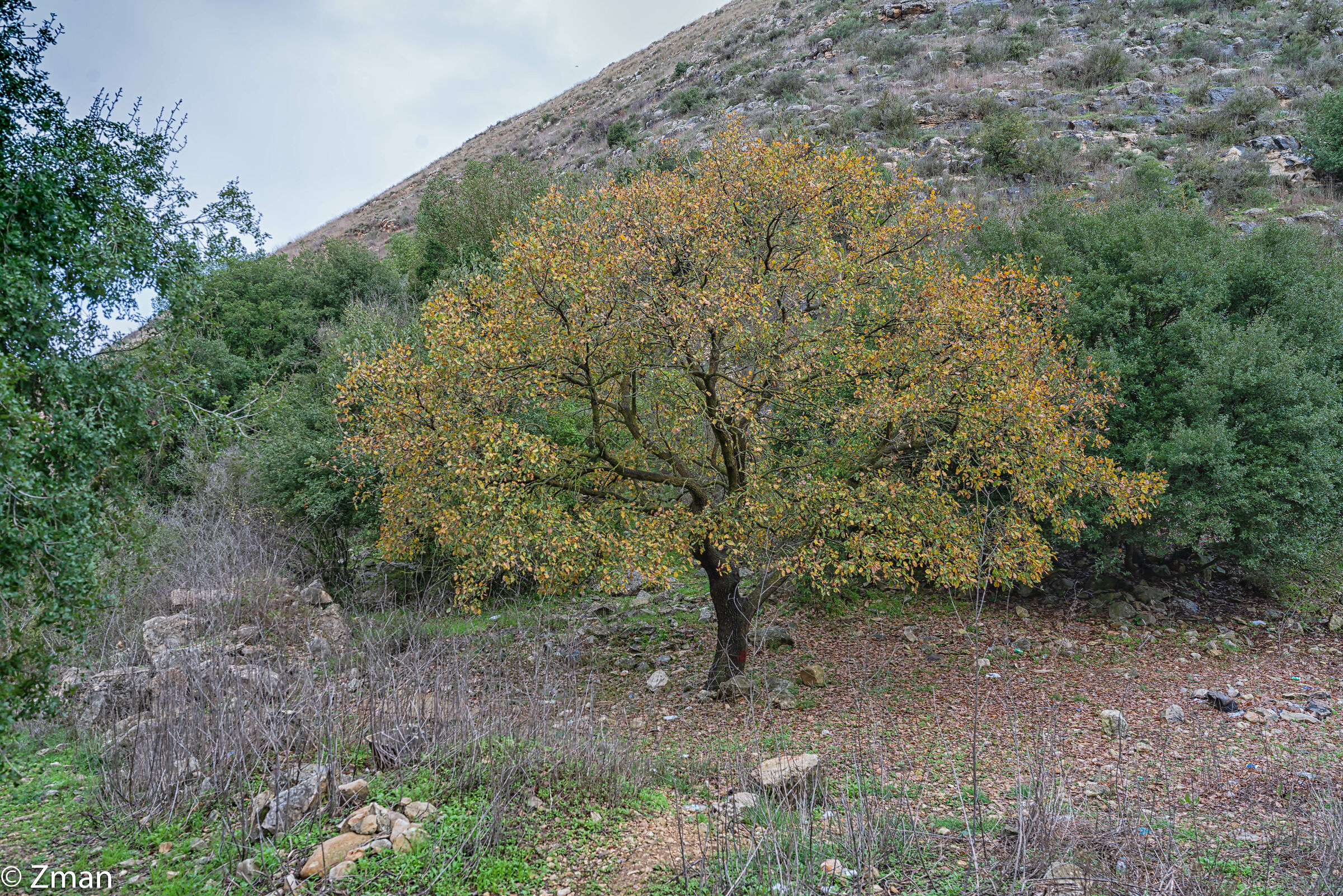 Paesaggio meridionale