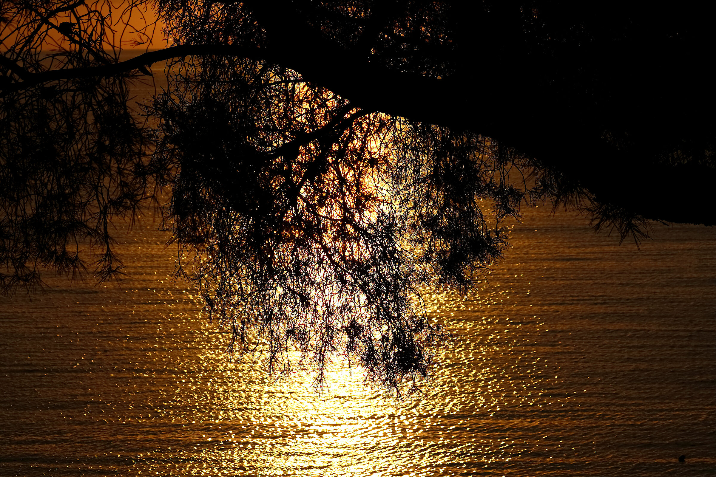 Laigueglia.. waking up