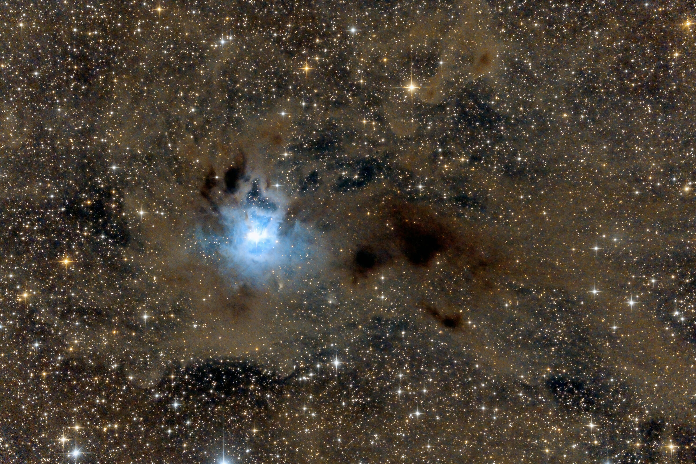 A dusty Iris Nebula