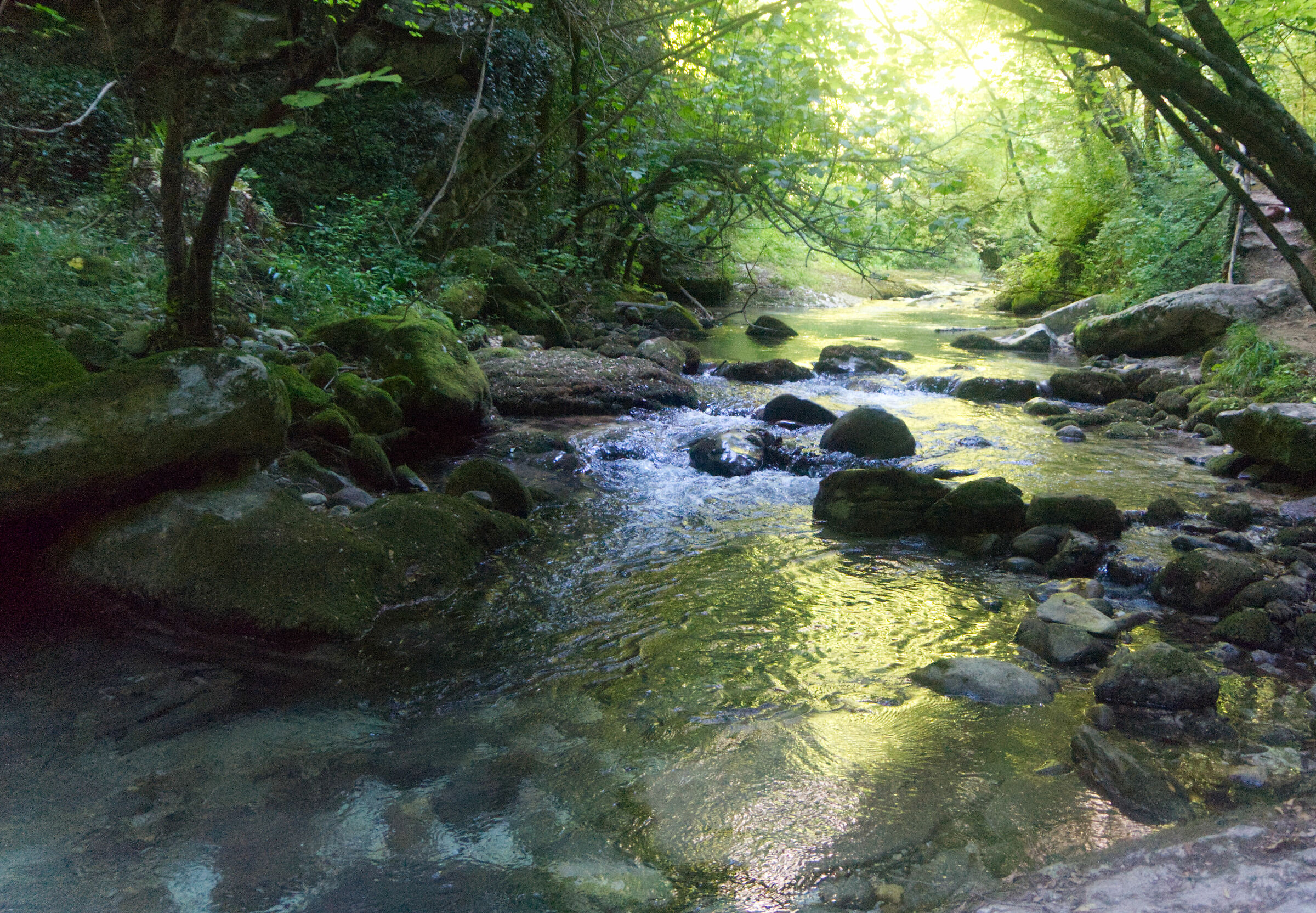 Ci facciamo un bagnetto?