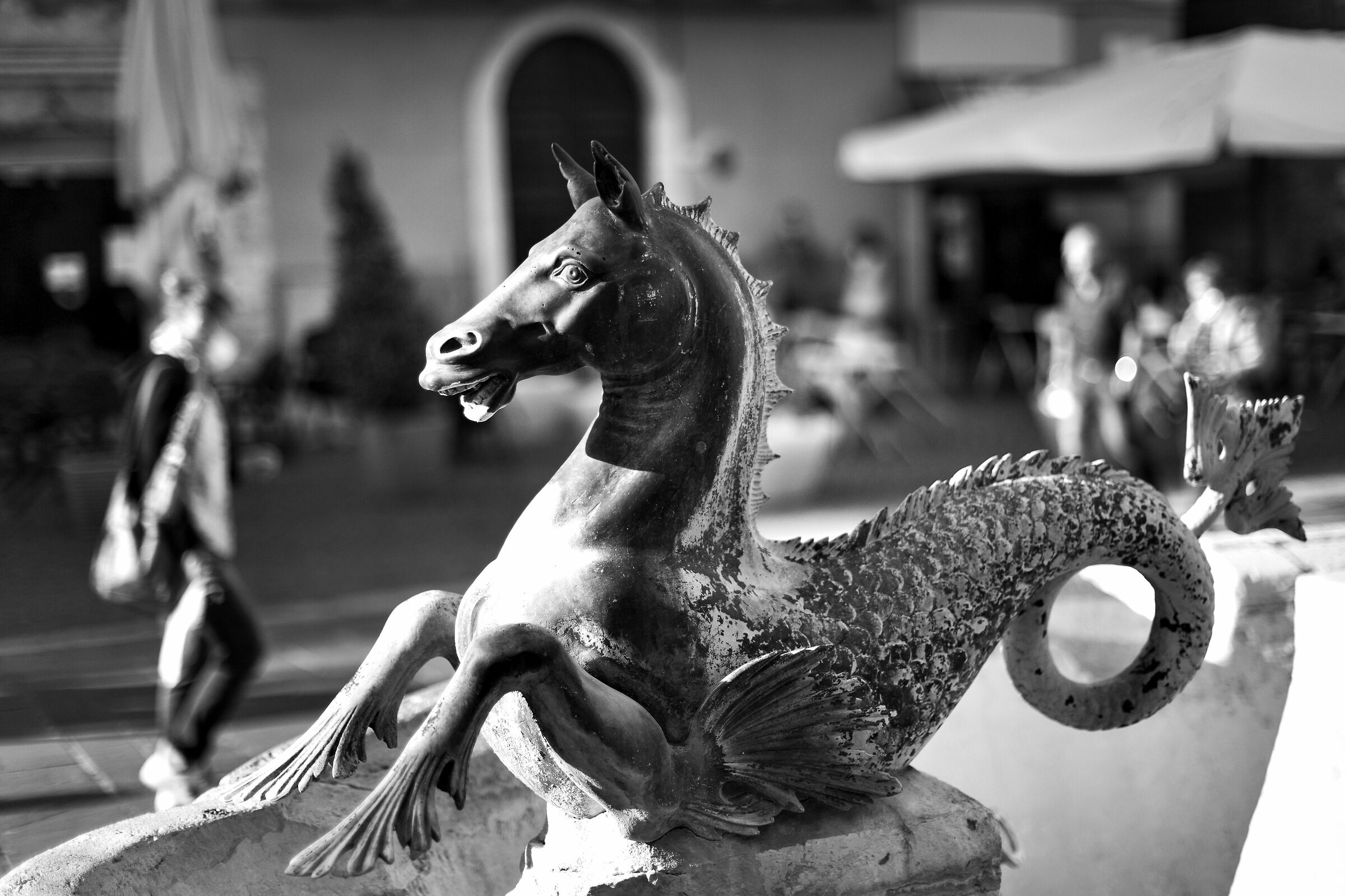 un cavallo in fontana