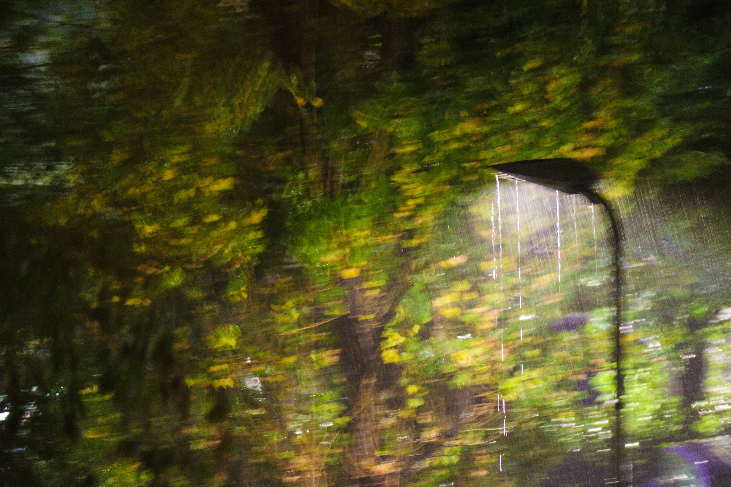 mezzanotte di pioggia