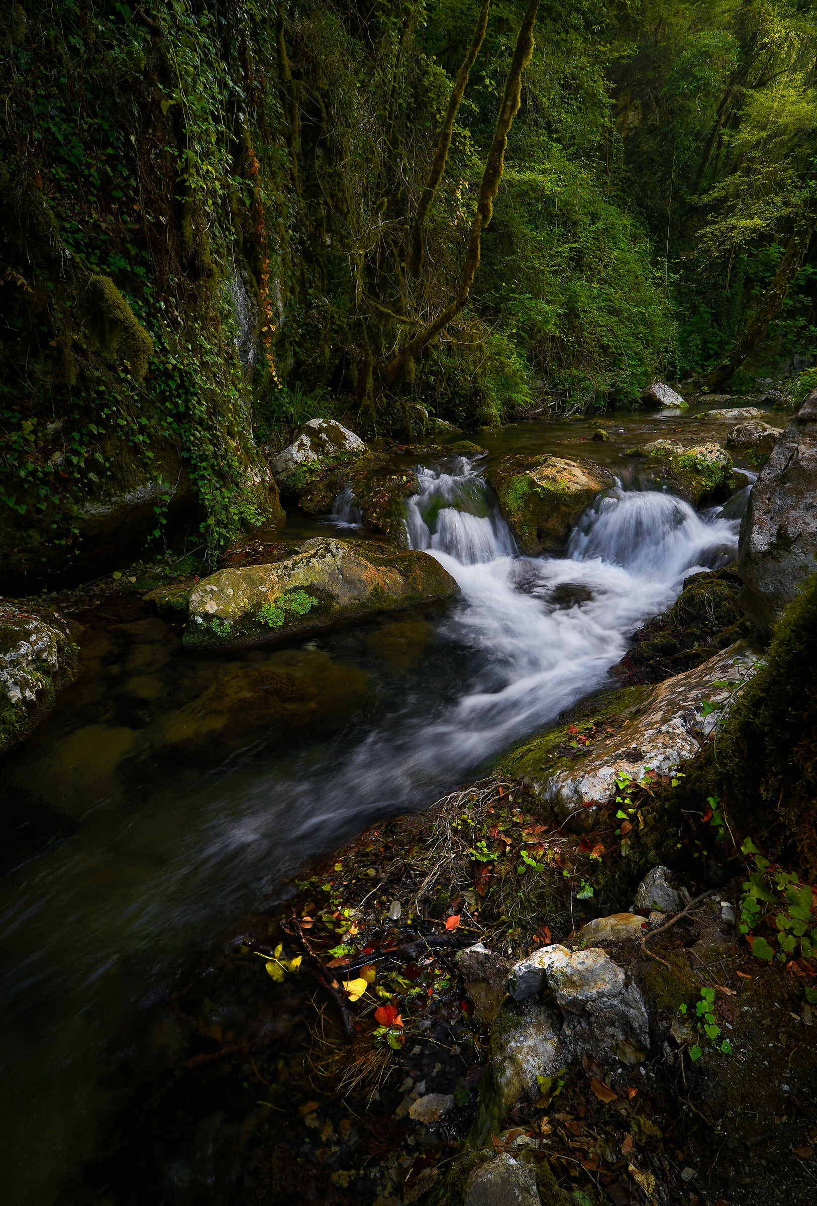 Colori intorno al fiume