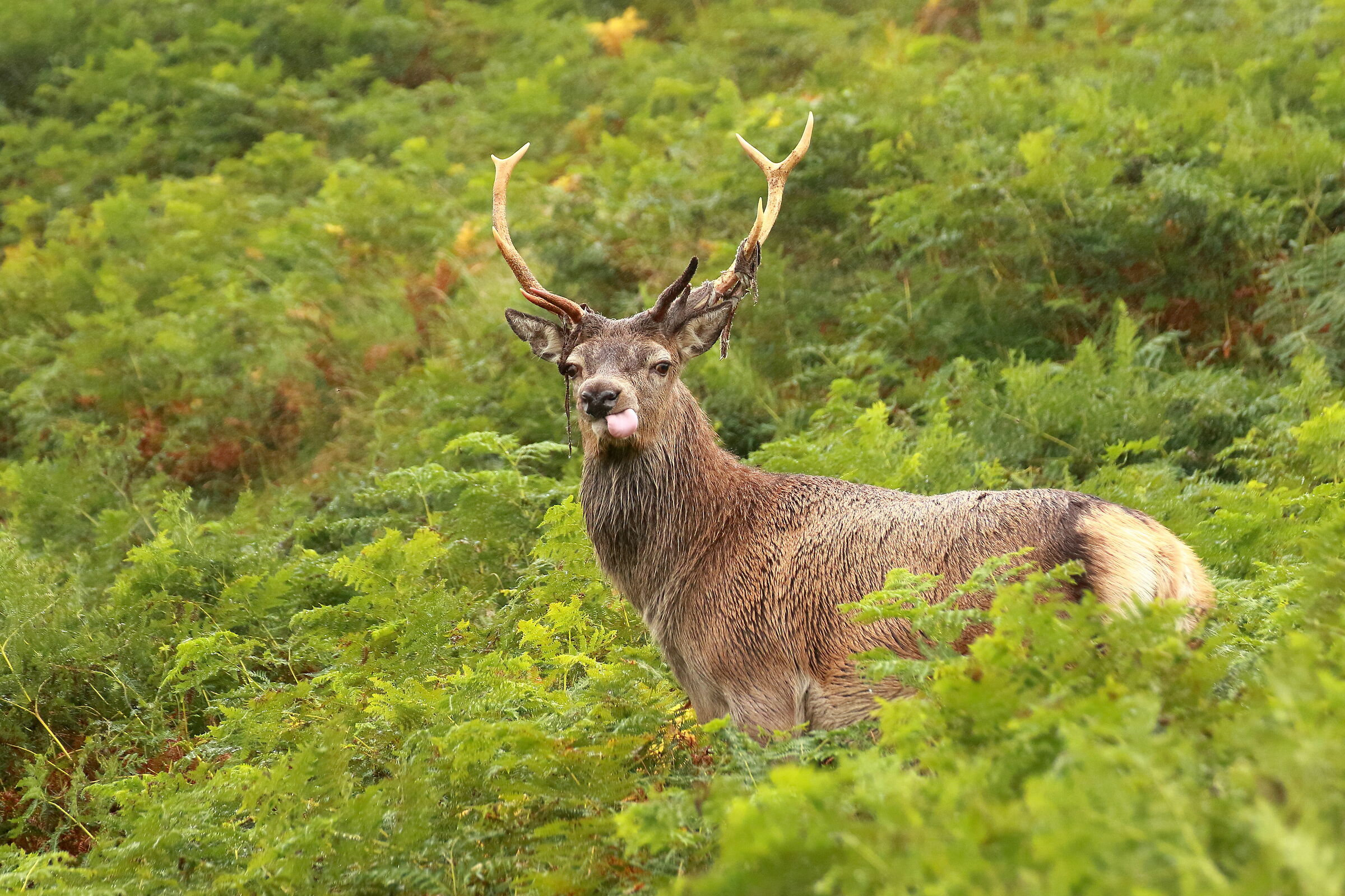 Sorpreso dalla pioggia