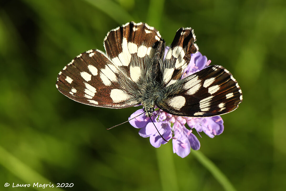 Under the sun's rays