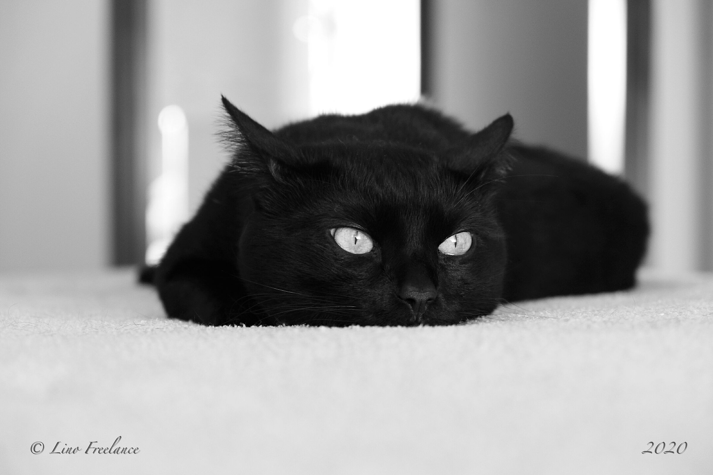 Fervide riflessioni.