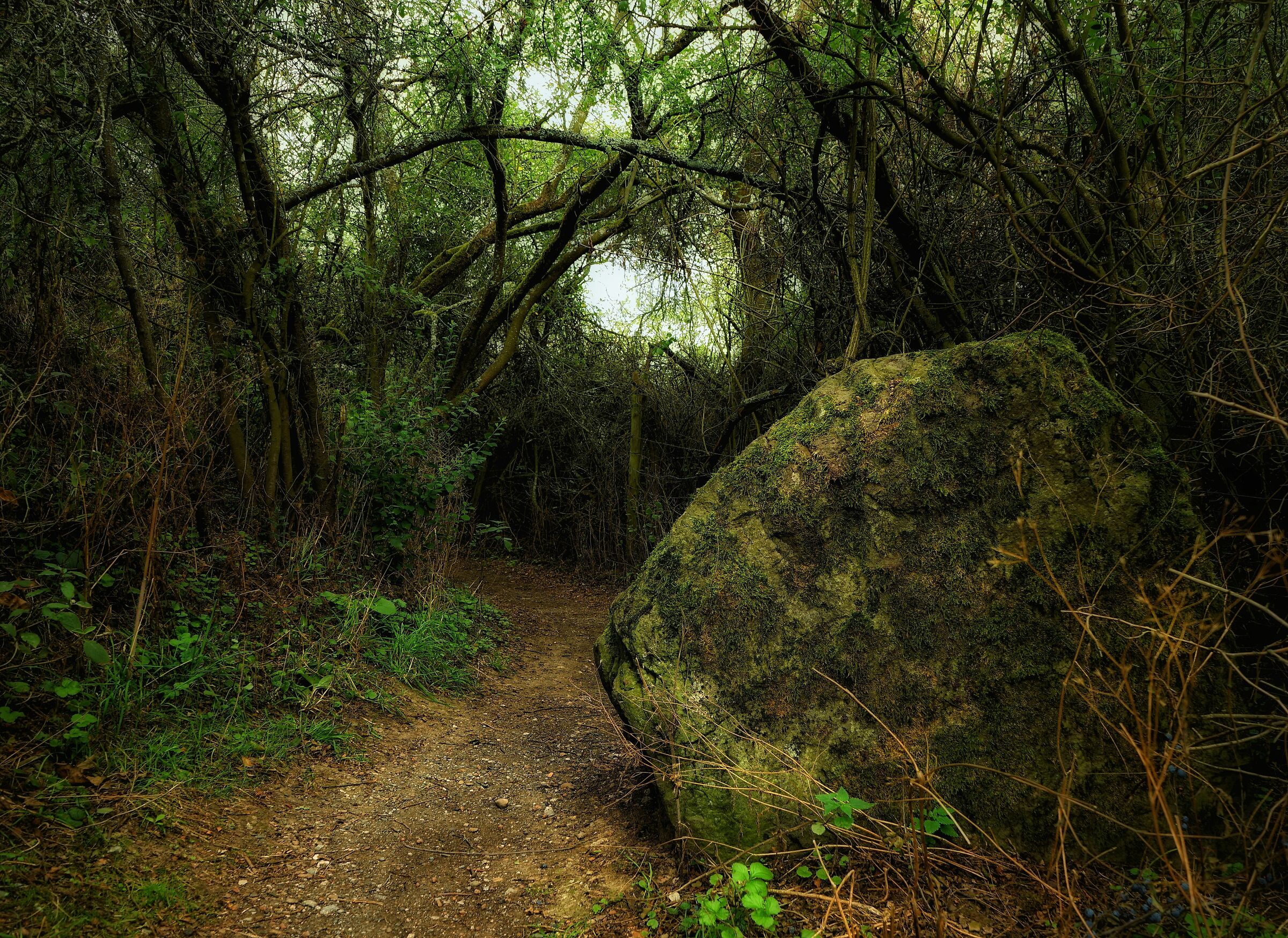 Entrata del Lago presso Rödgen
