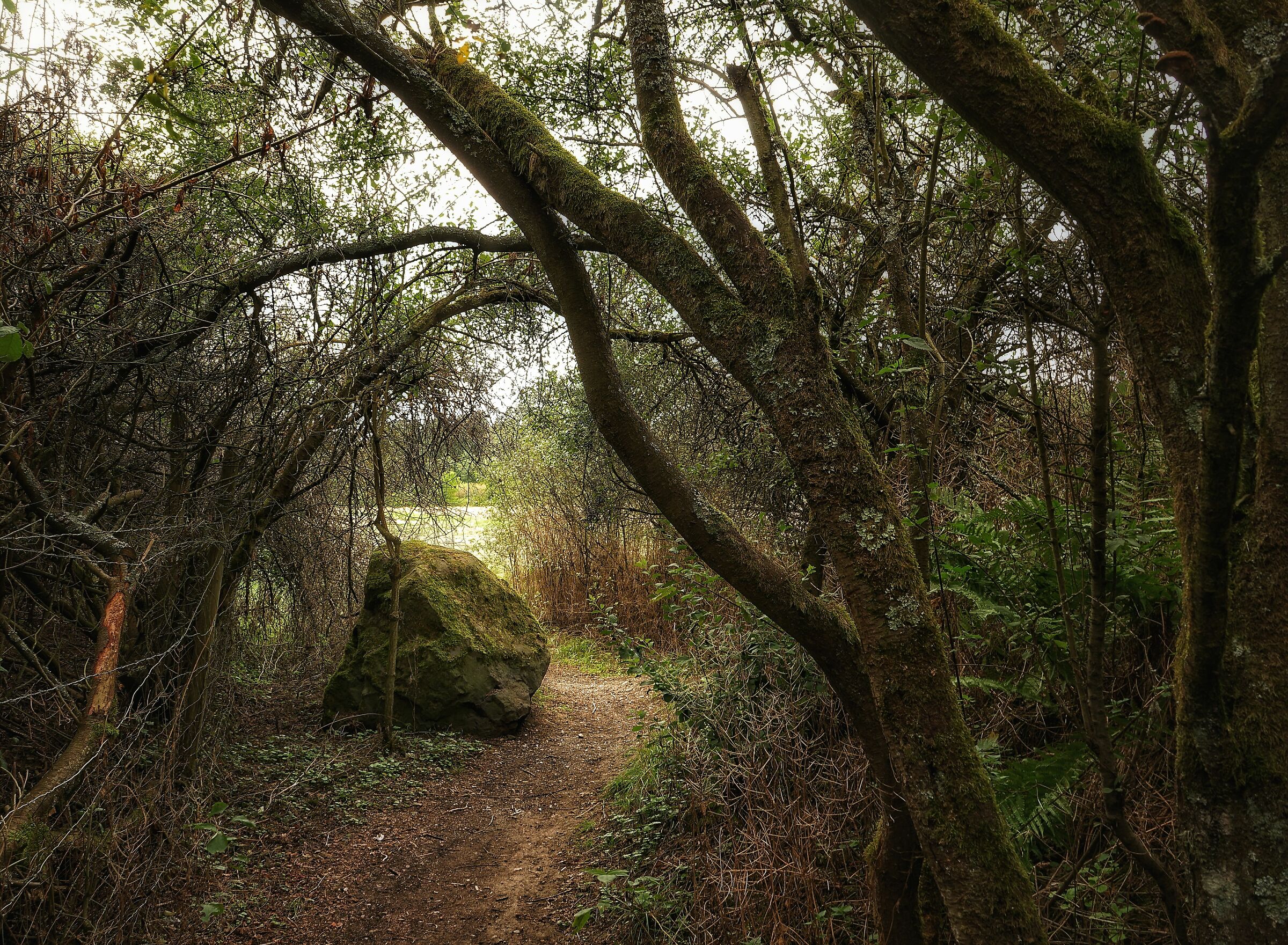 Entrata del Lago presso Rödgen