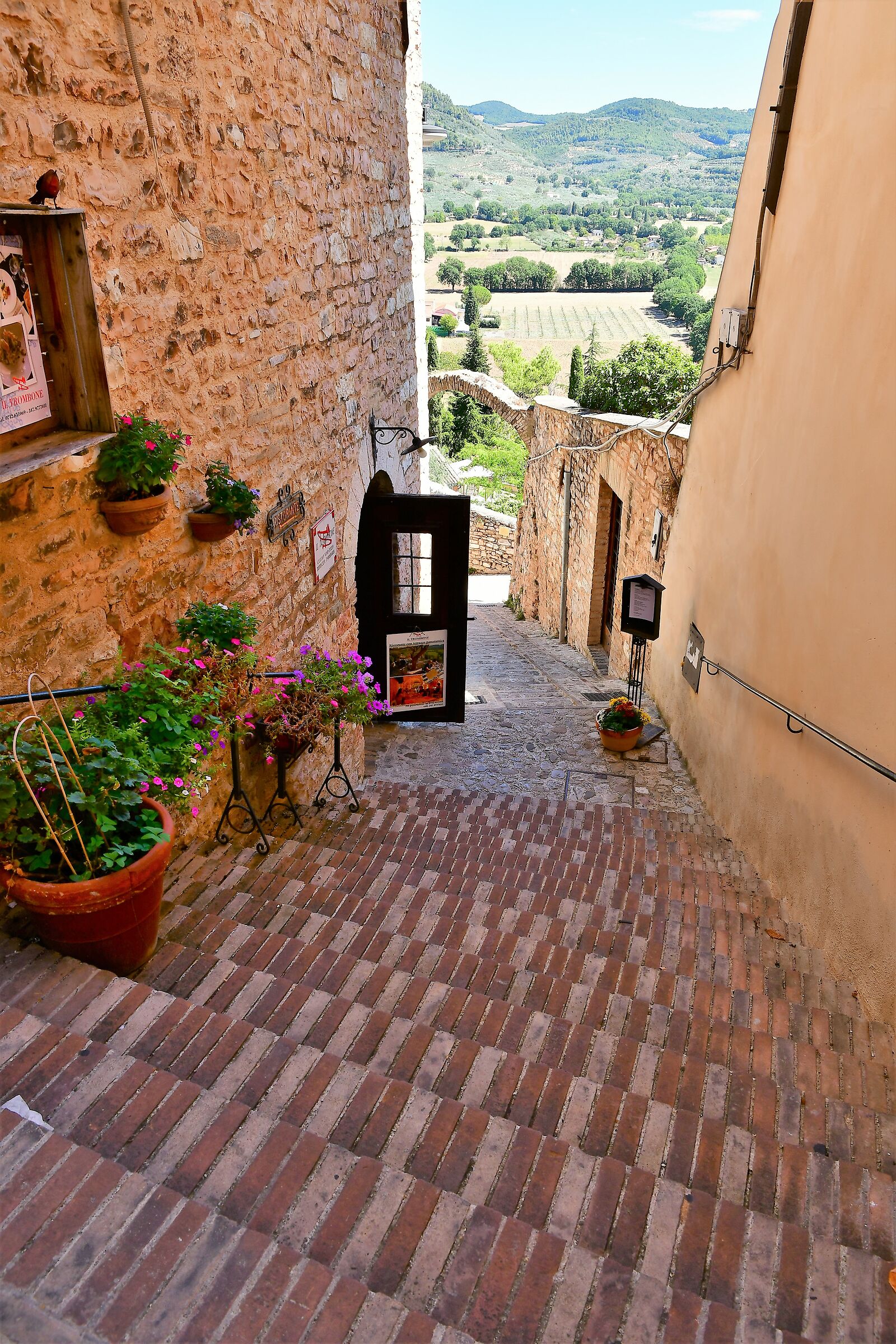 spello in umbria