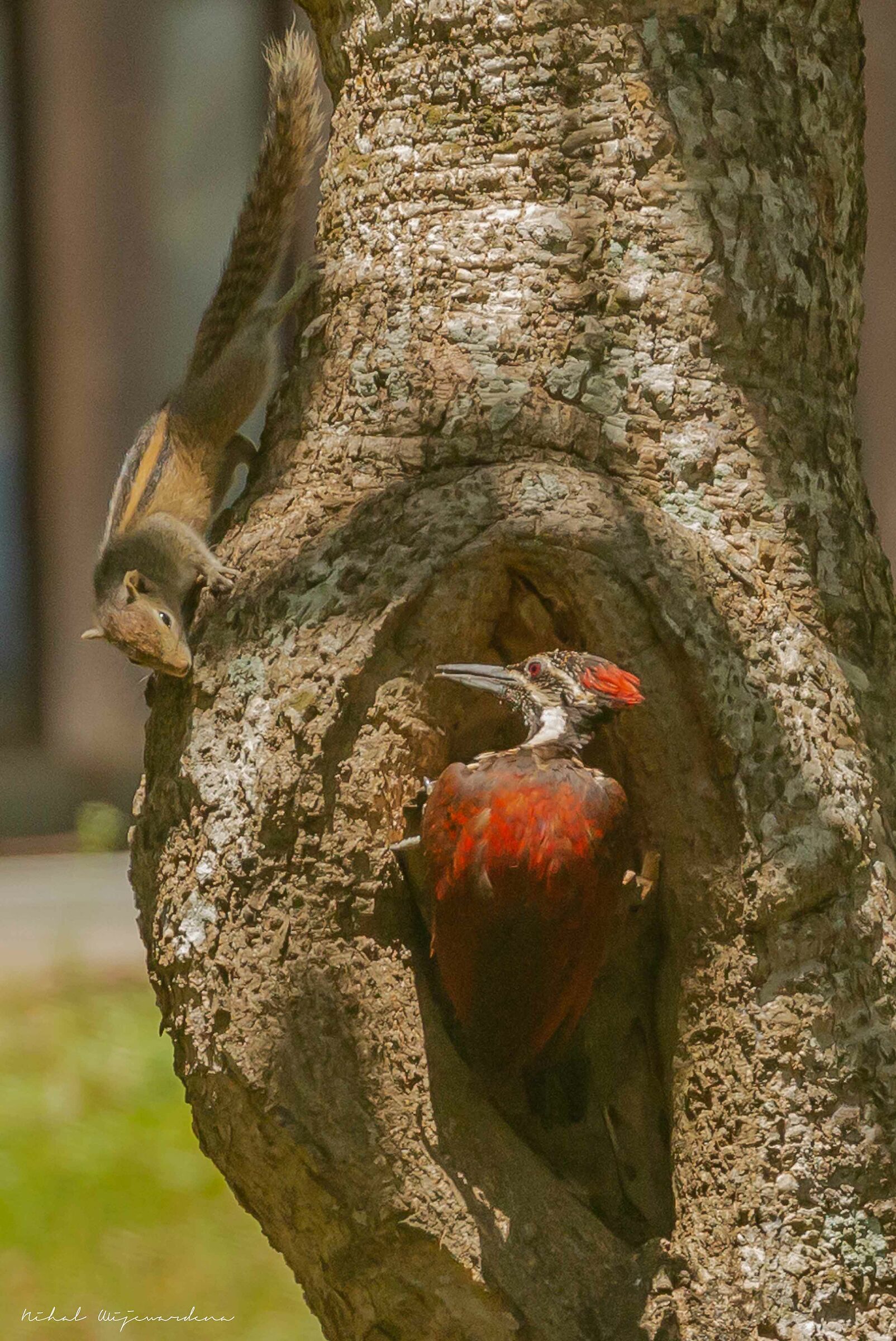 Encounter of different kinds
