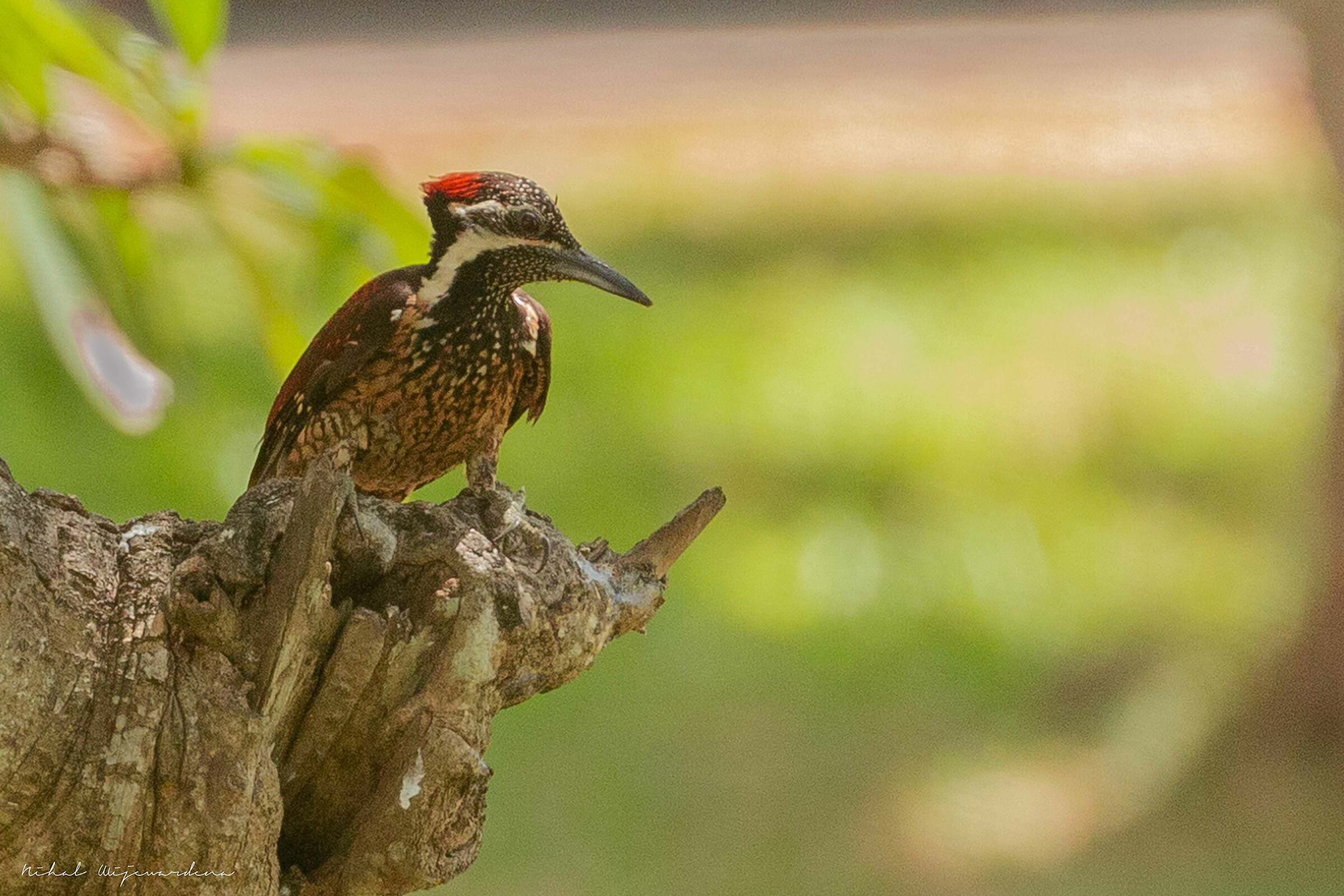 Look around before tapping.