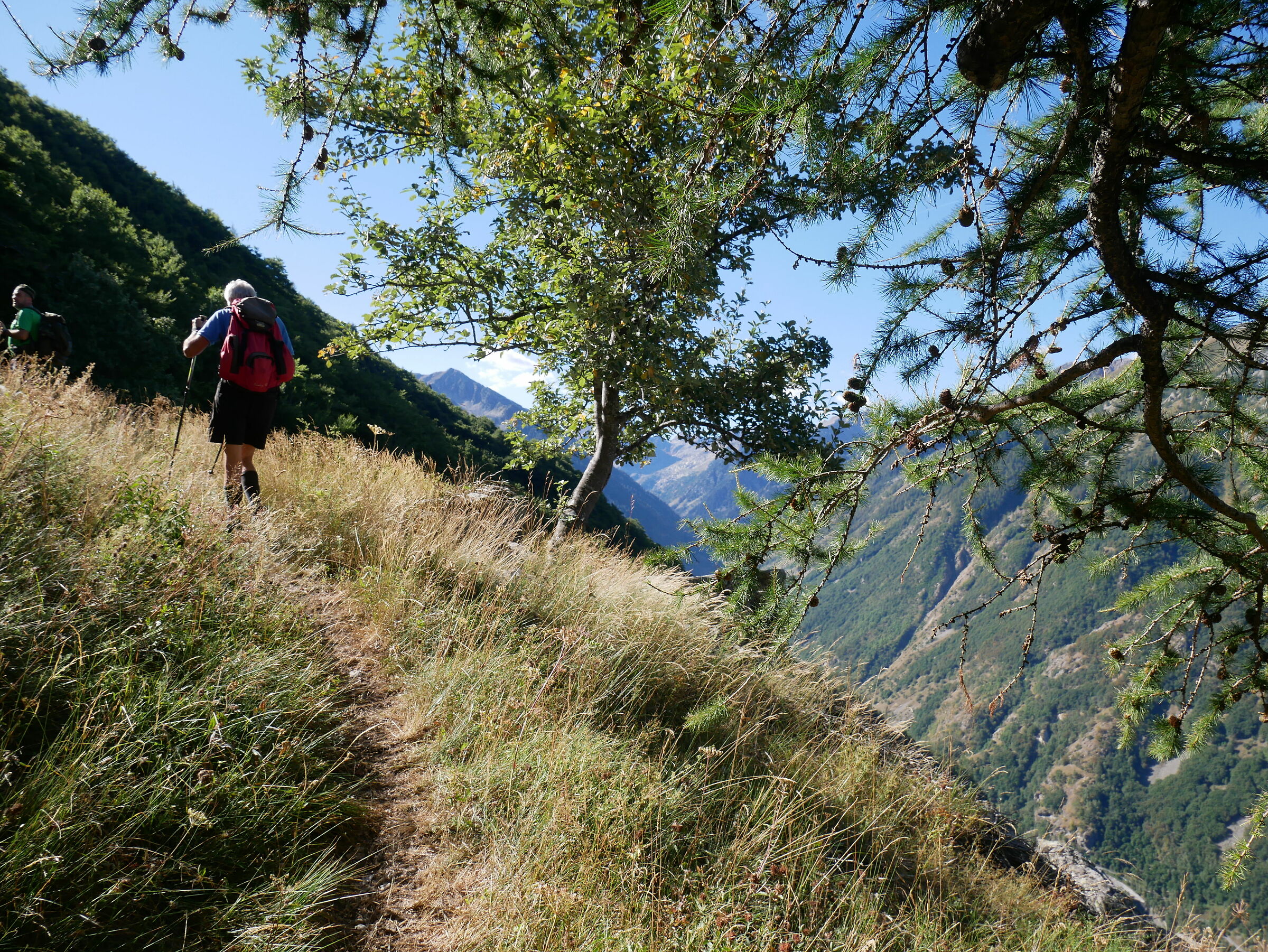 Climbing to the tops