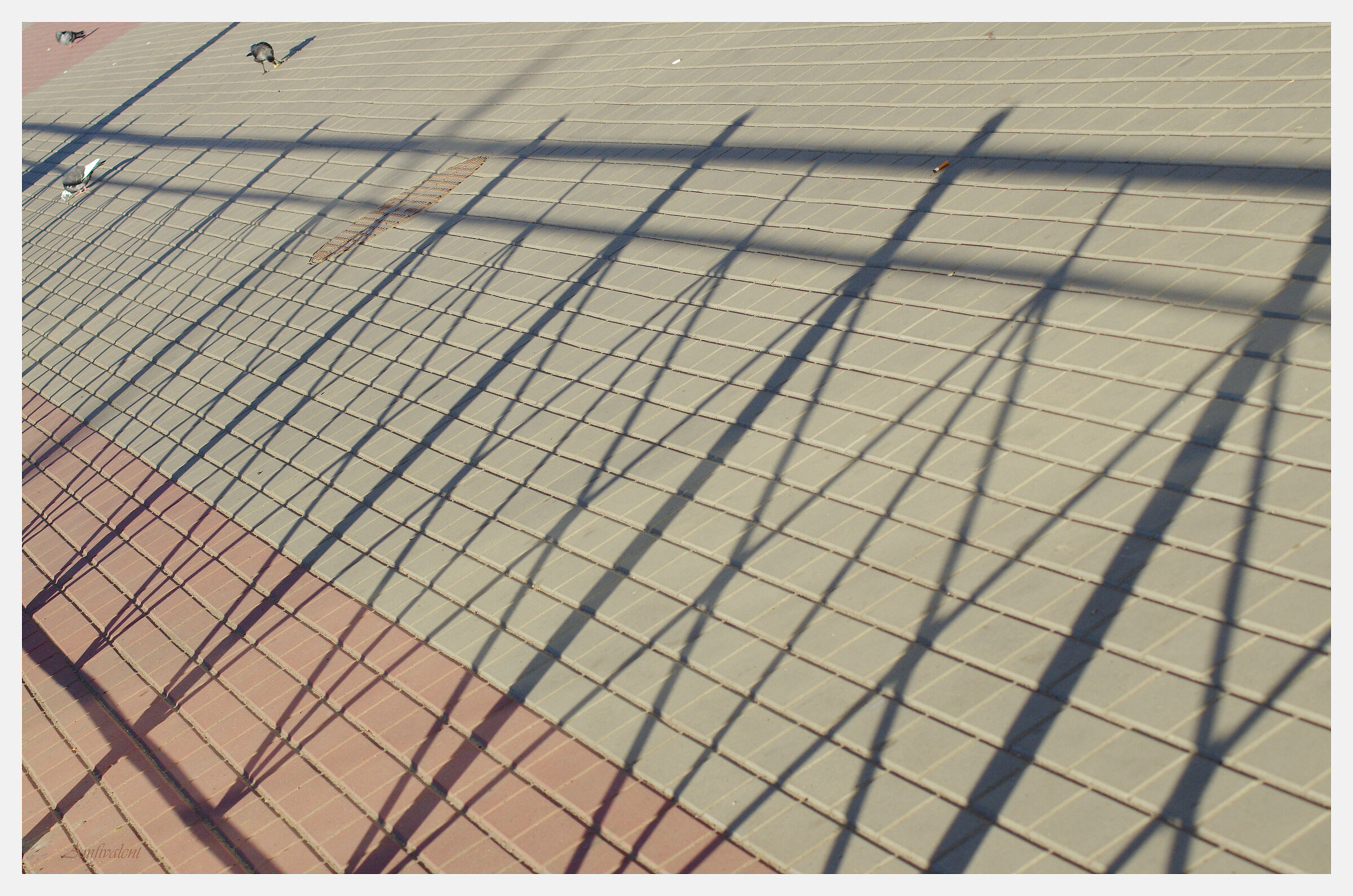 Morning Shadows in the Street