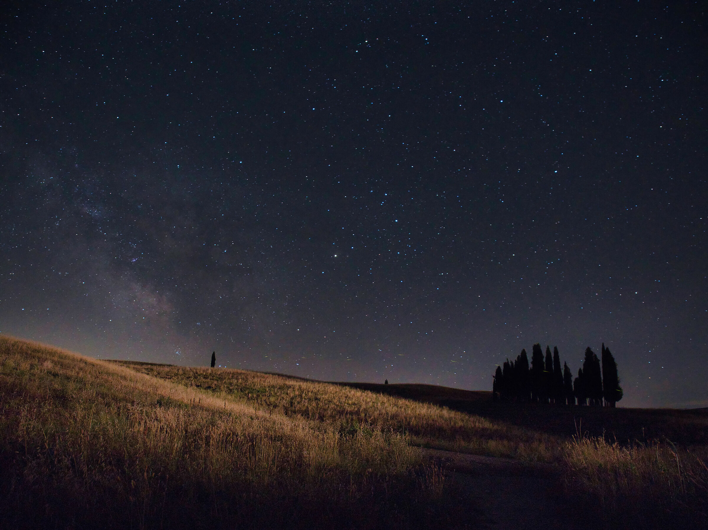 Stelle sui cipressi di San Quirico d'Orcia