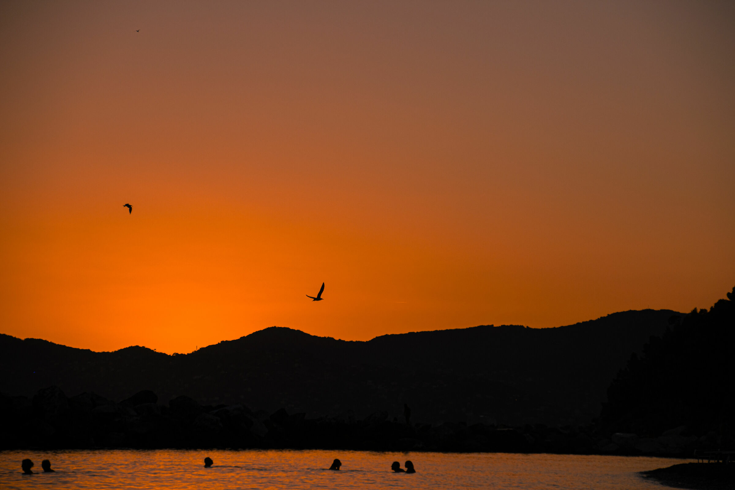 Sunset Chiavari