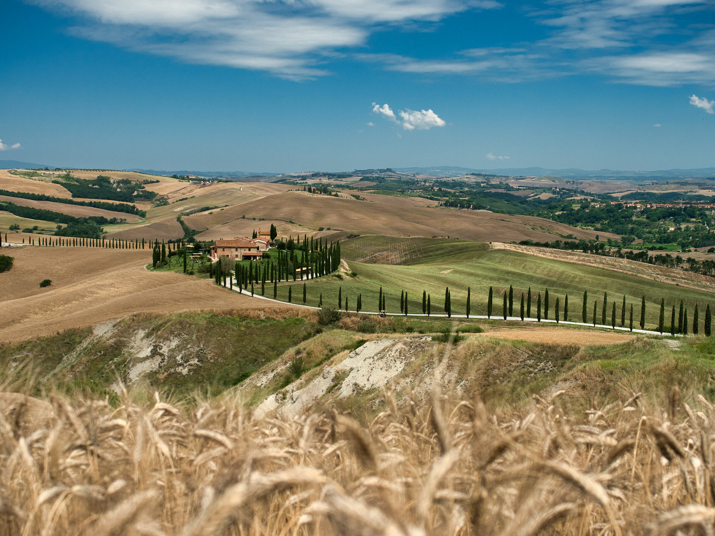 Agriturismo Baccoleno - Crete Senesi