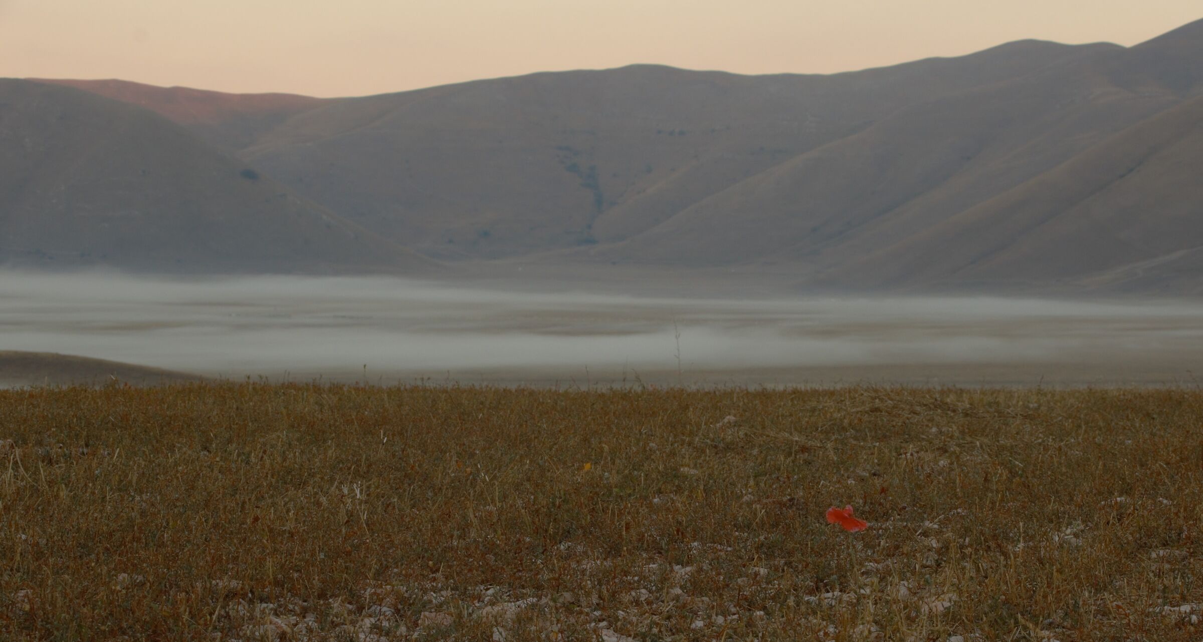 Sunrise in the Plain