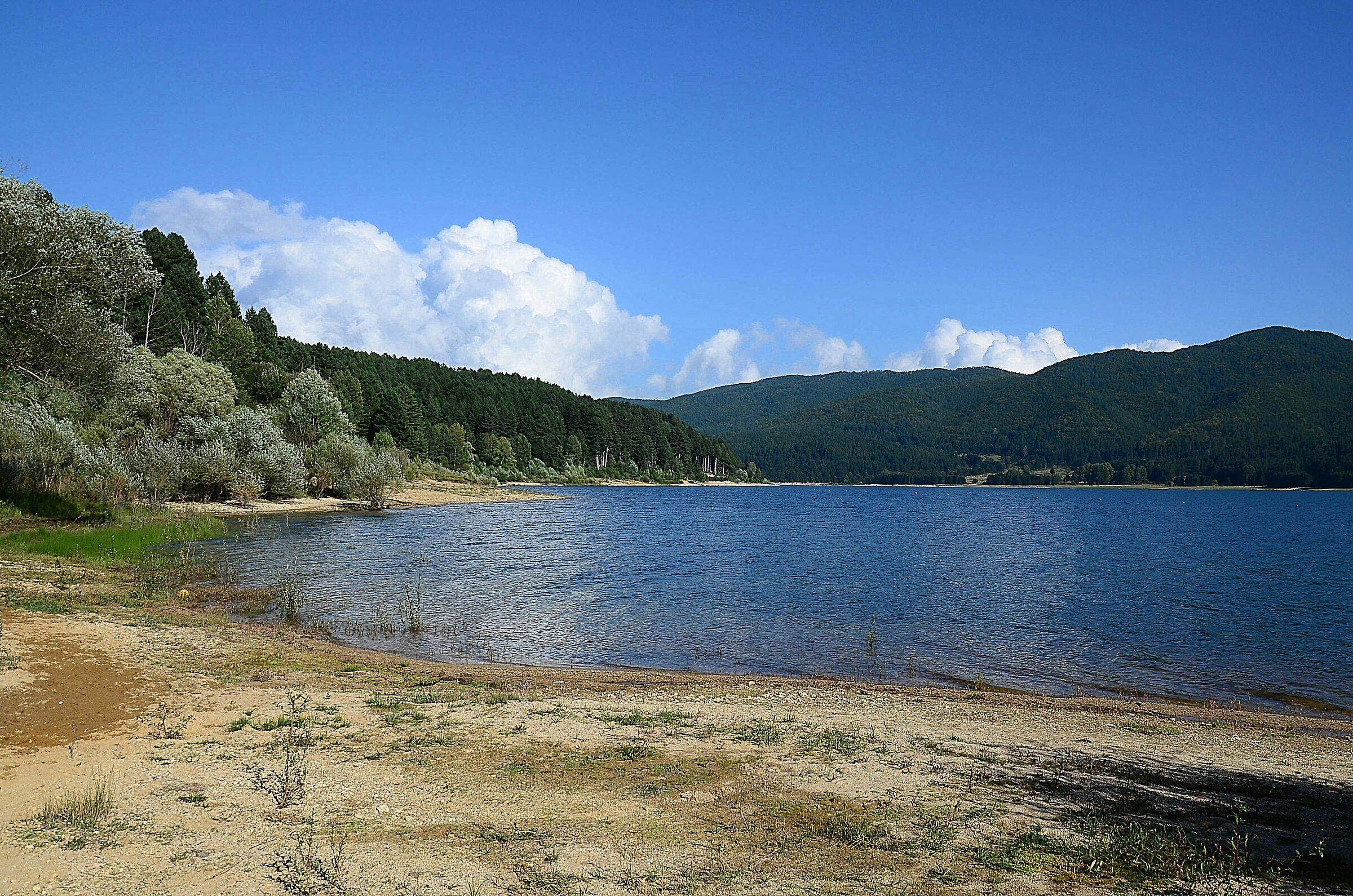 osop_NP_0336  lago di Bilancino Toscana