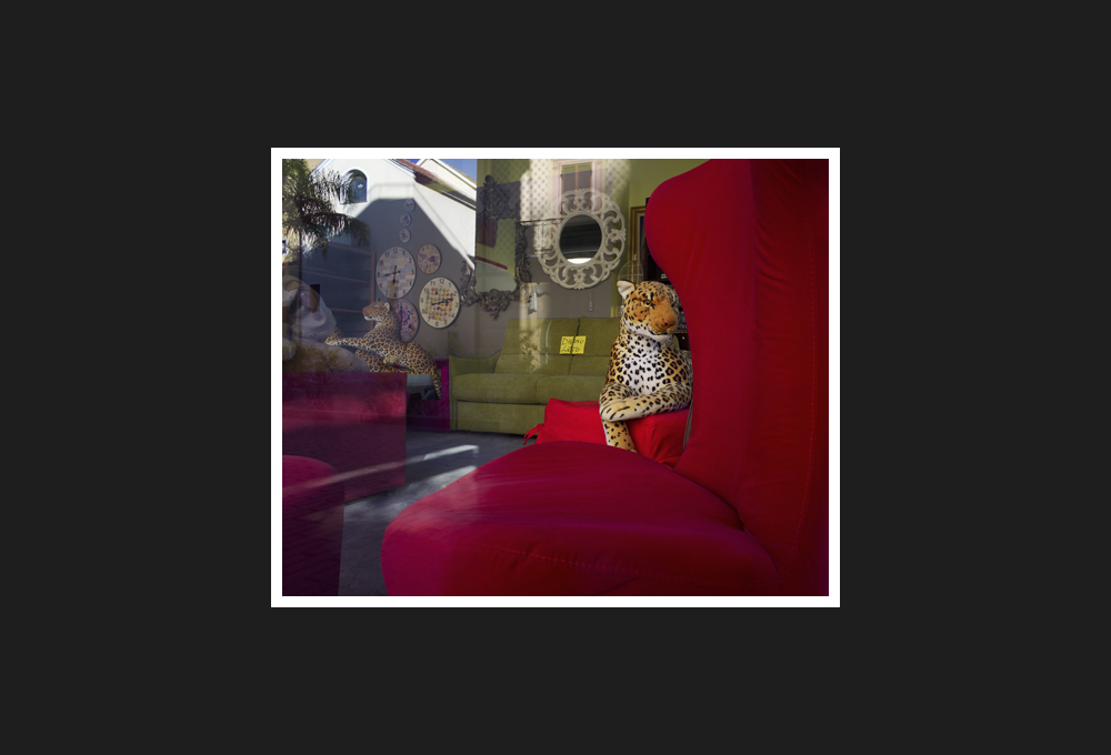 Leopard on the Couch, 2017