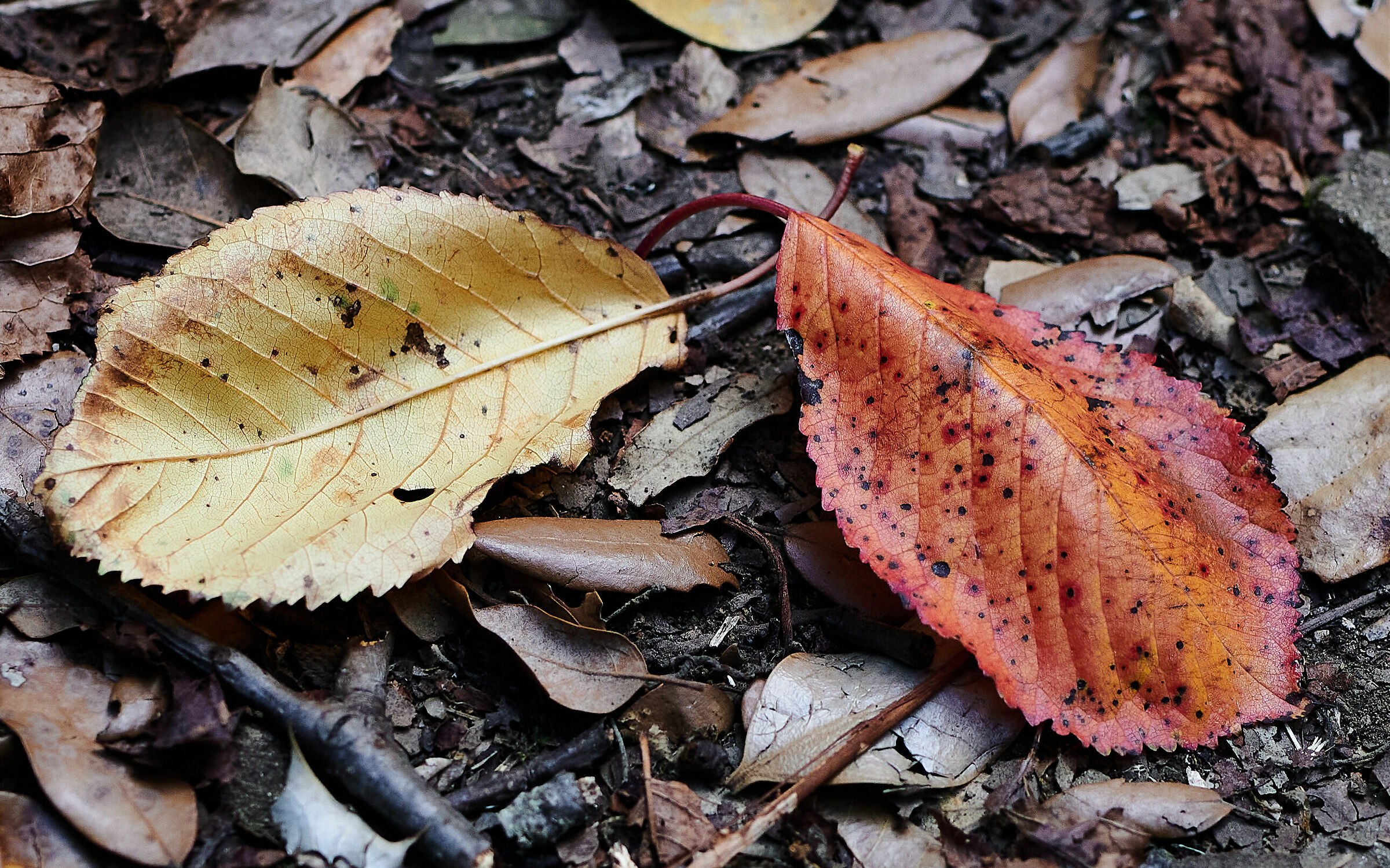 L'autunno è alle porte?