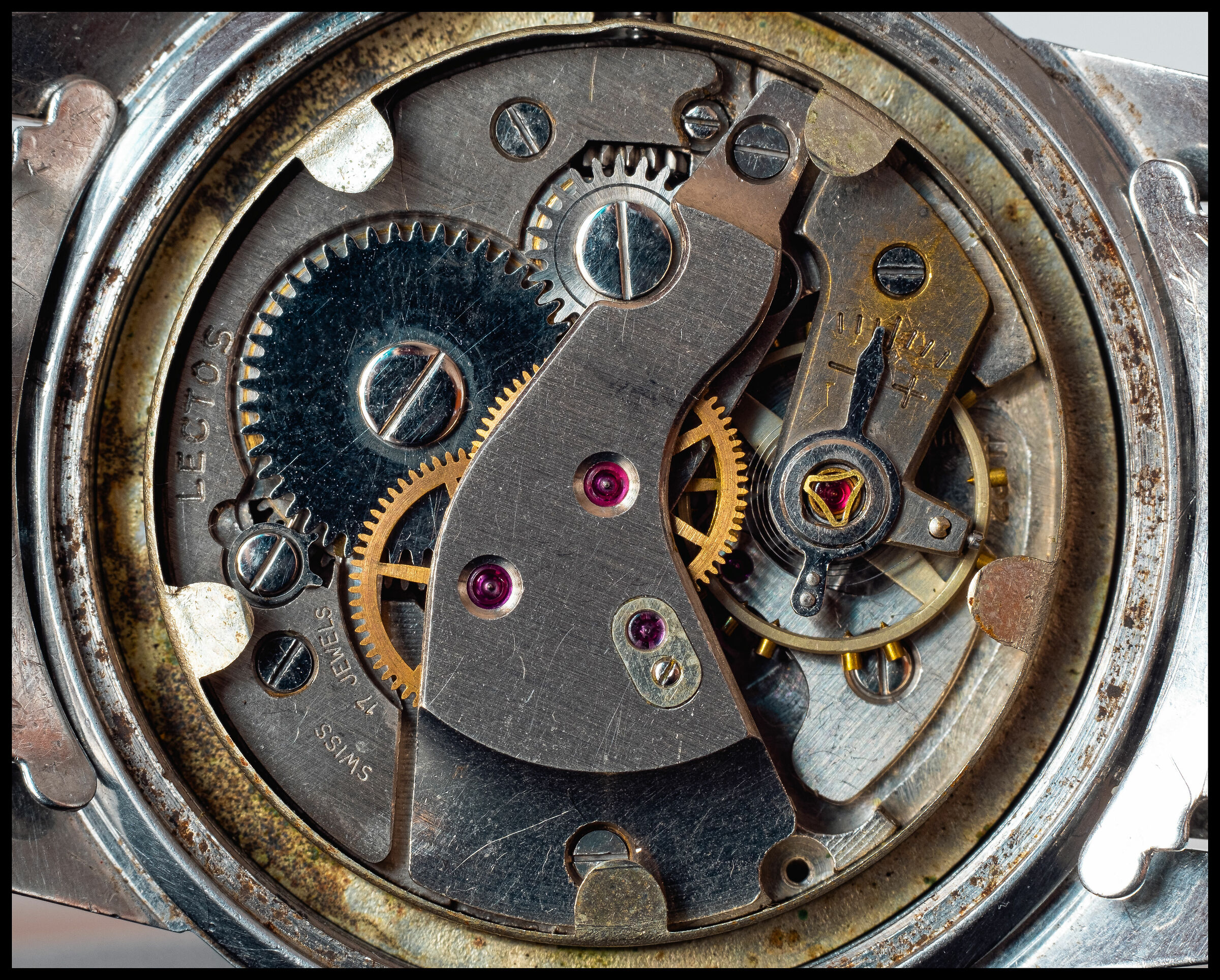 Macro fhf28
