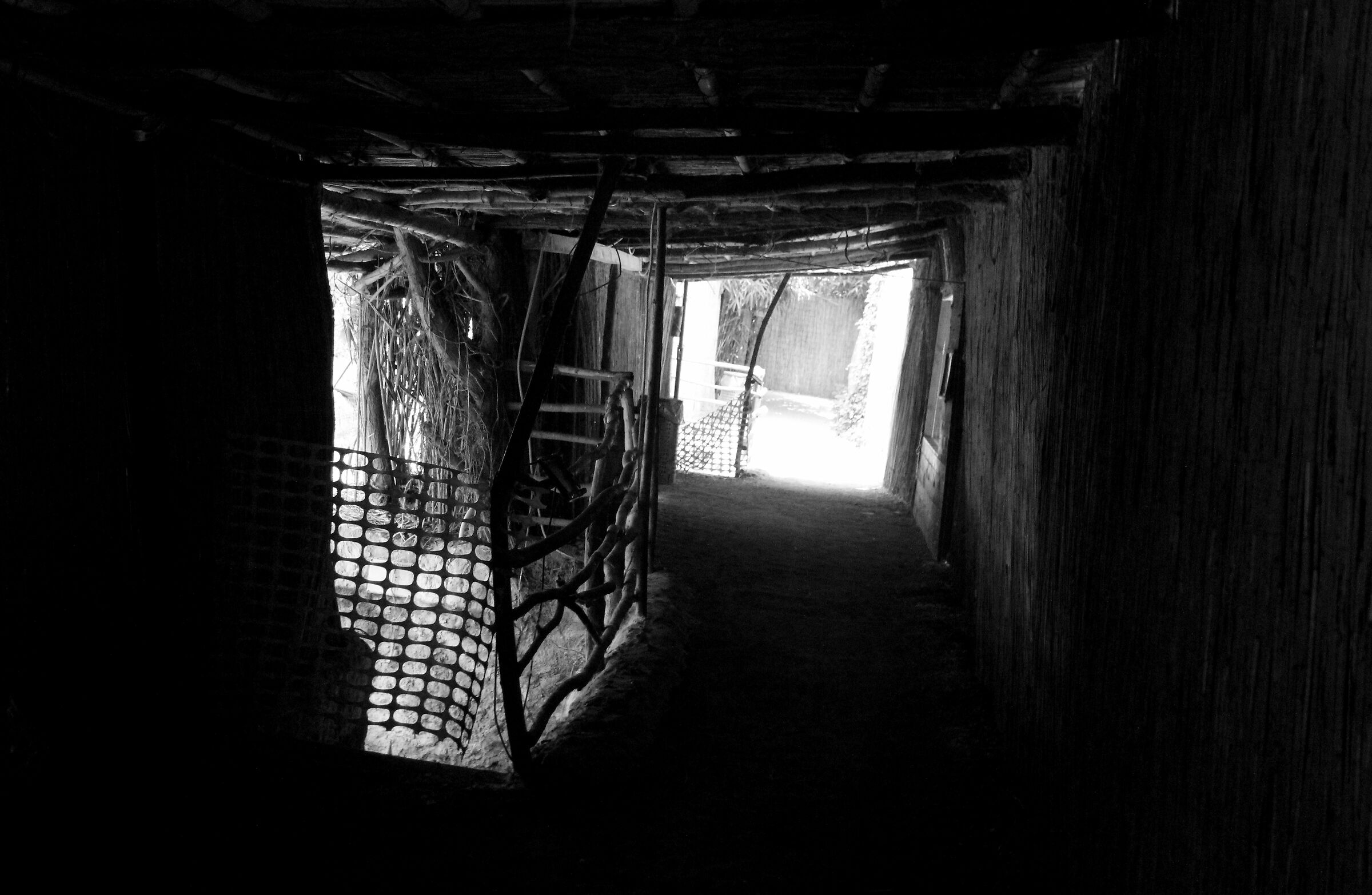 foto in bianco e nero