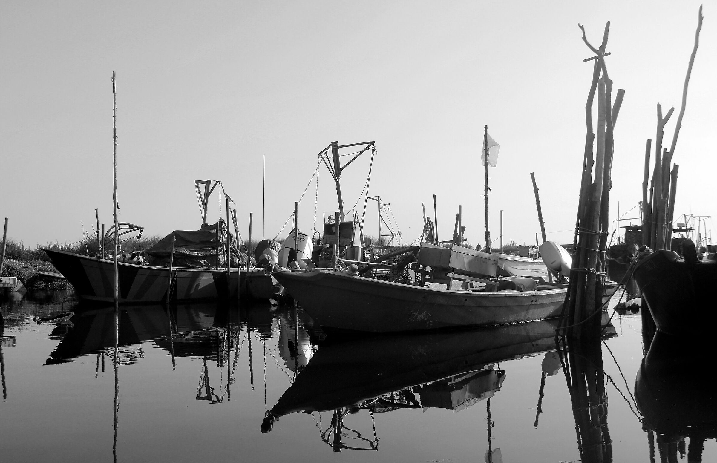 foto in bianco e nero