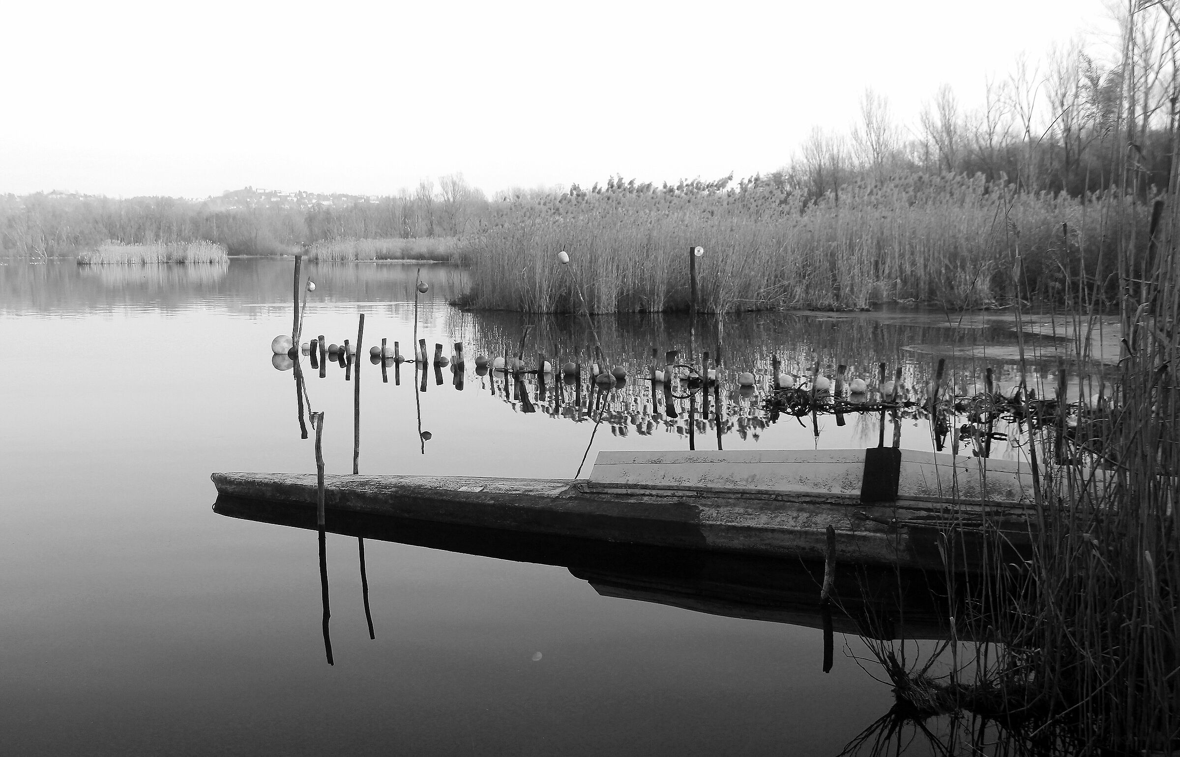 foto in bianco e nero
