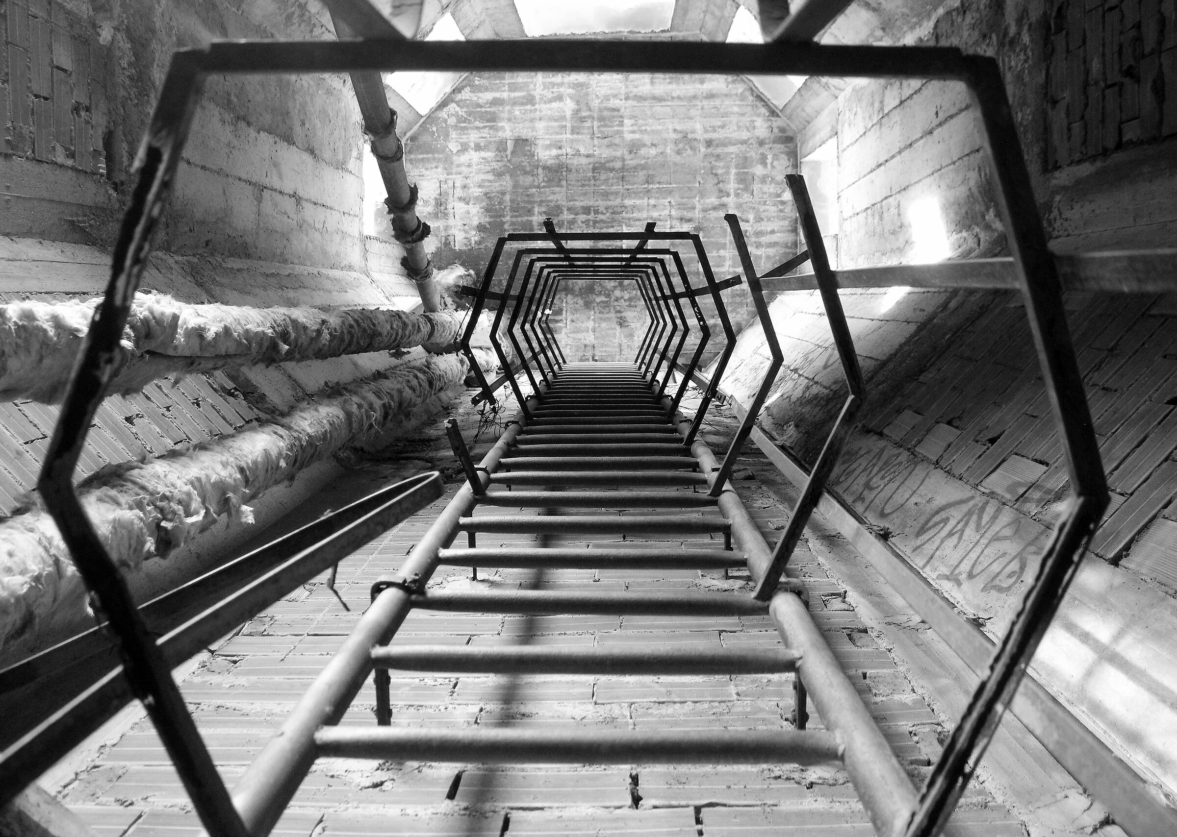 foto in bianco e nero