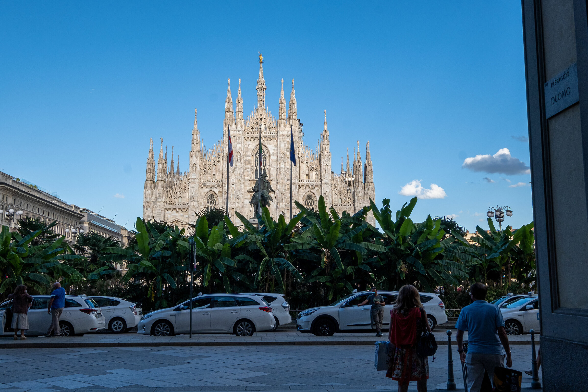 Duomo spunta dai banani