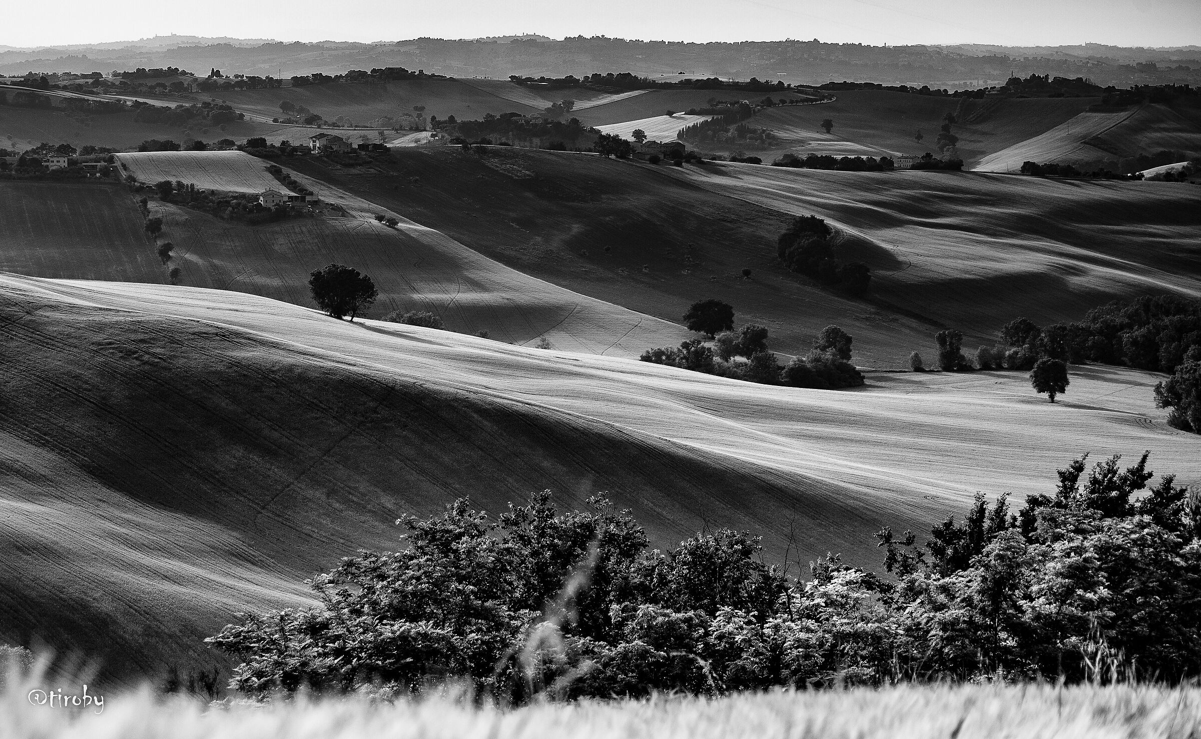 Le Marche