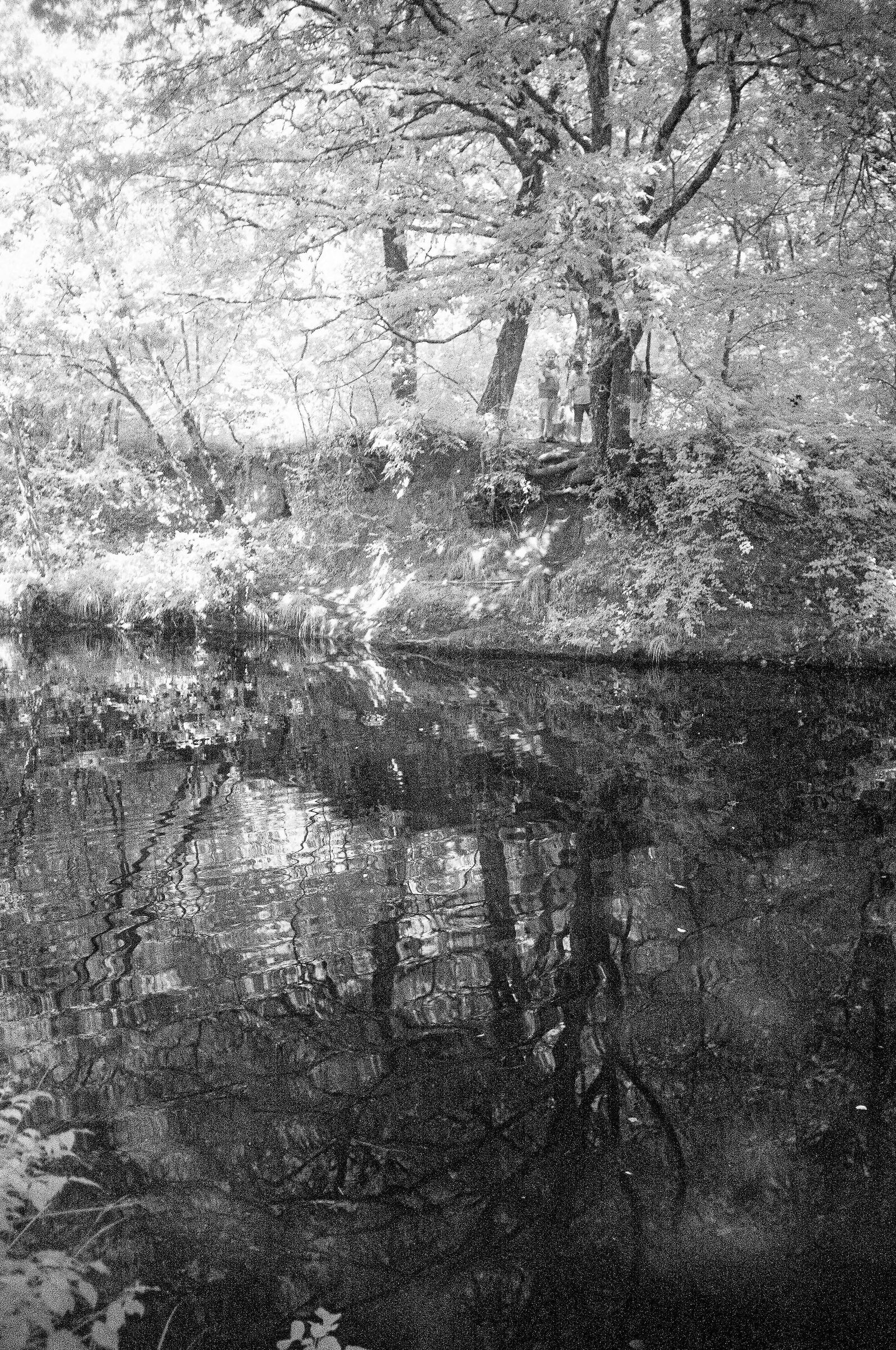 Estate al fiume