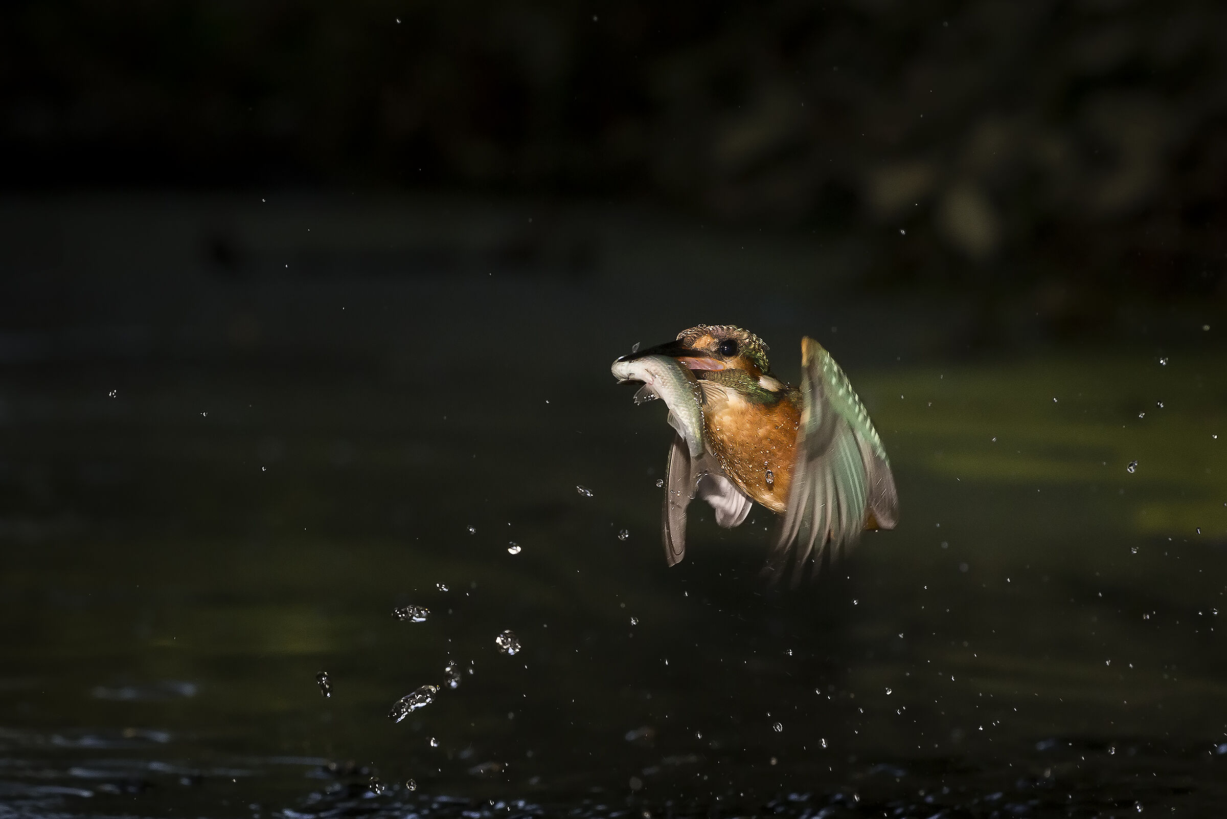Mangio qualcosa al volo