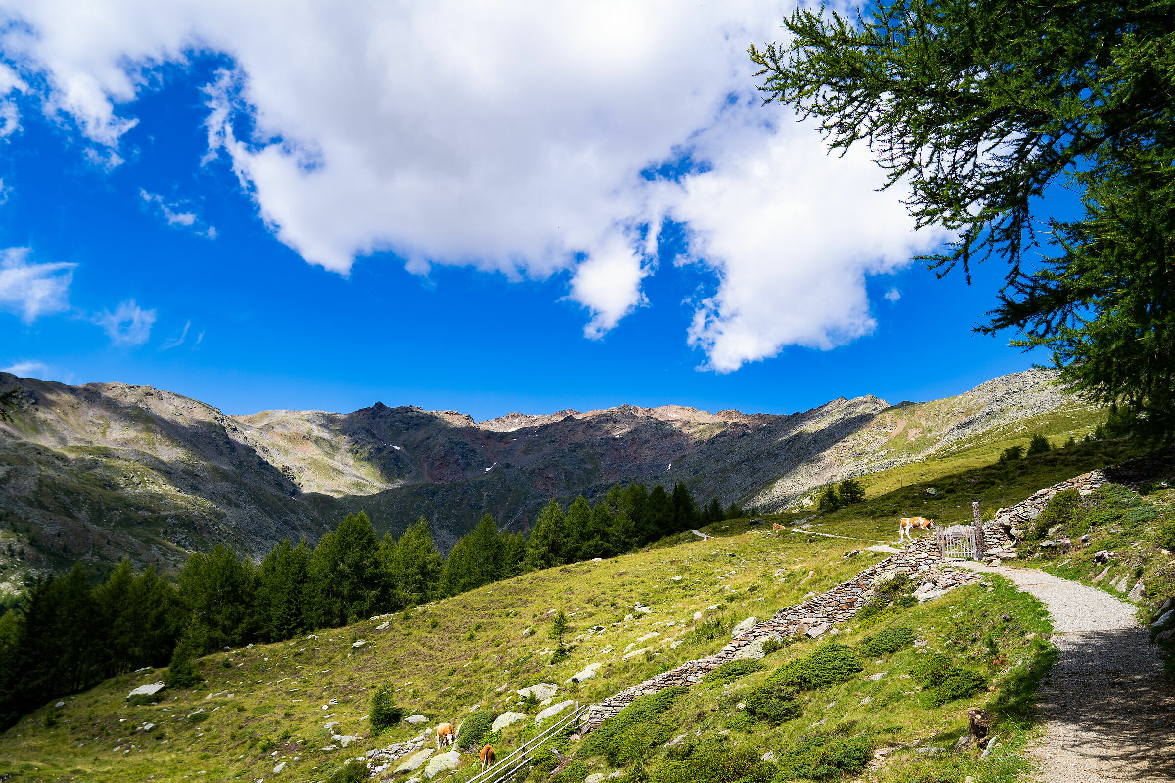 High Val D'Ultimo