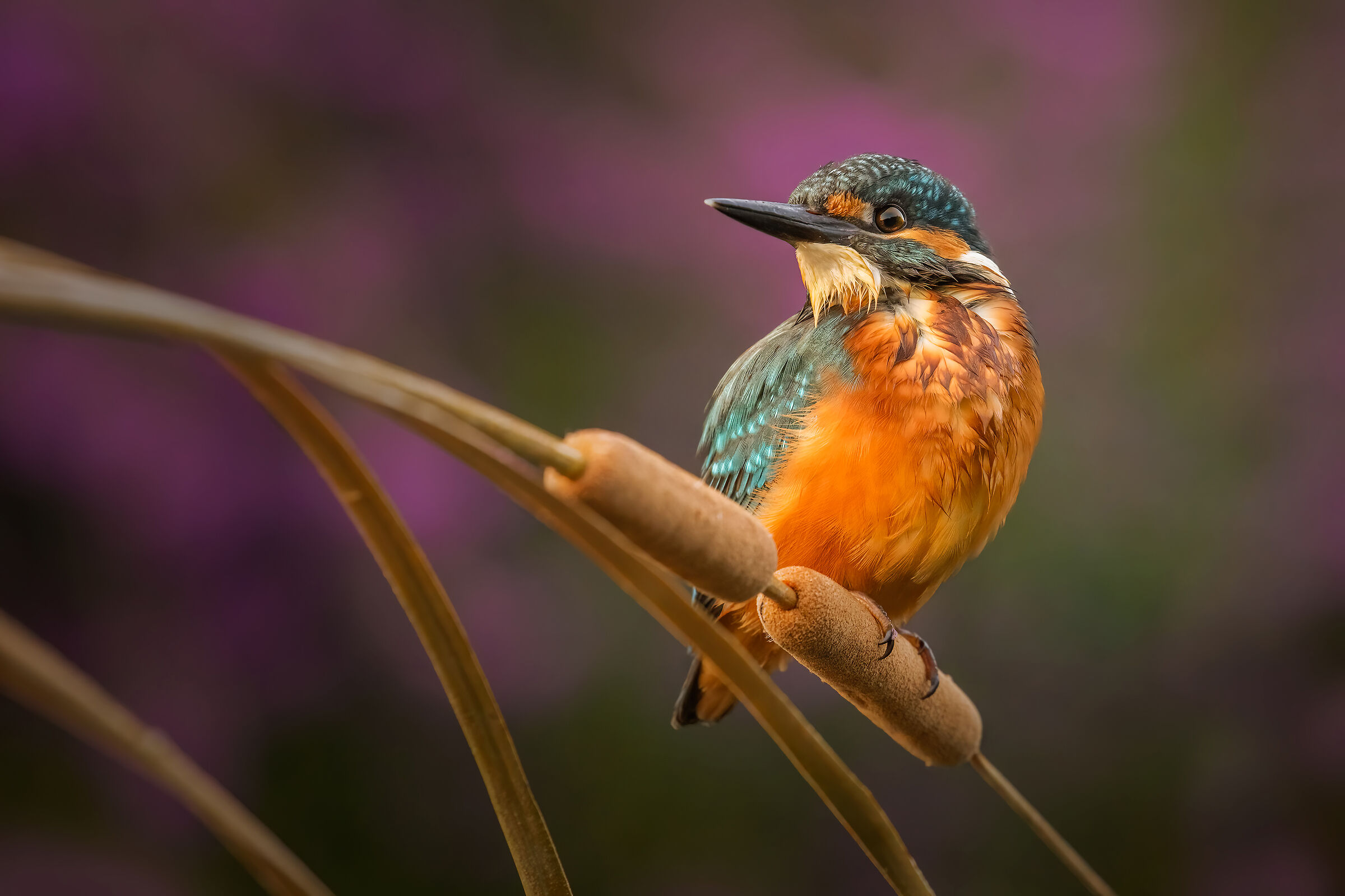 ..il mio profilo migliore..