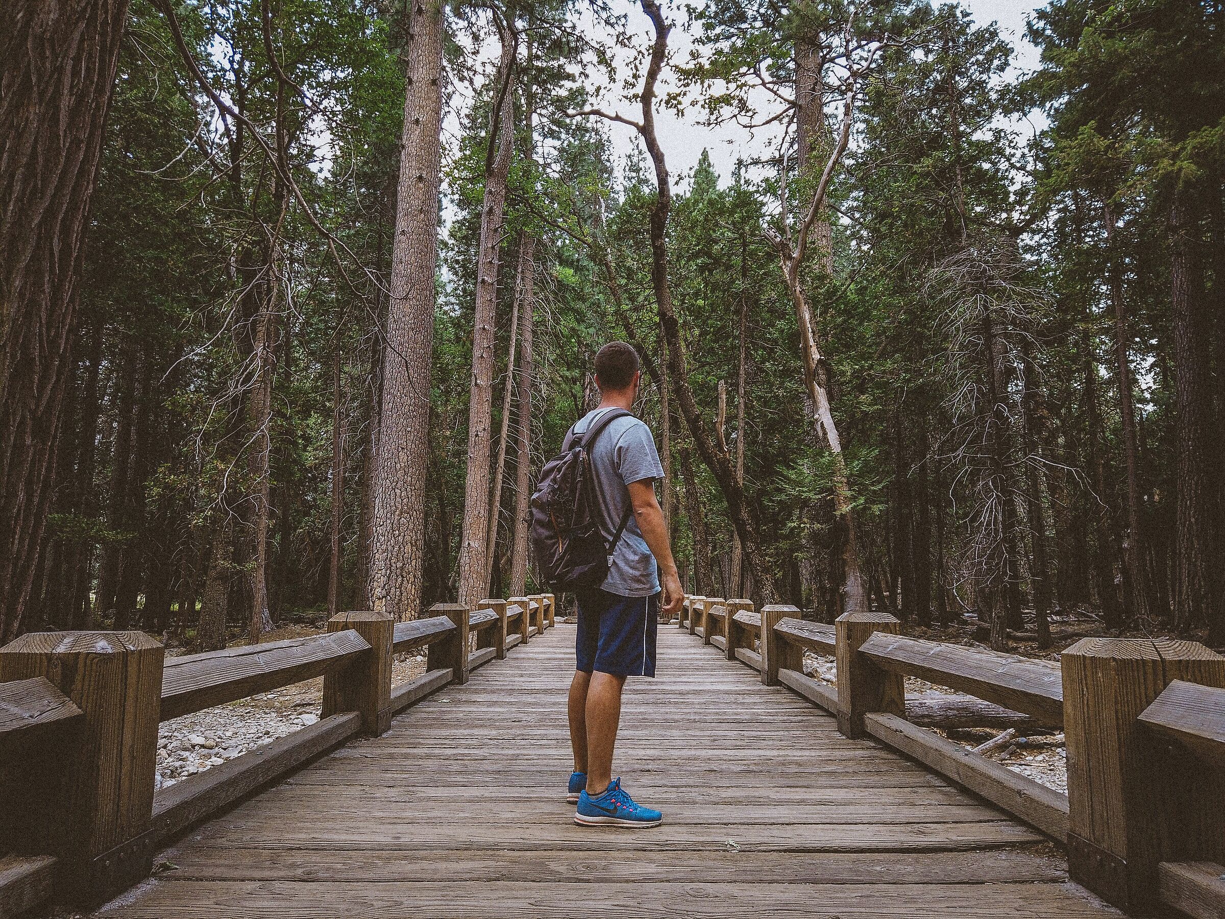 Yosemite Park, California