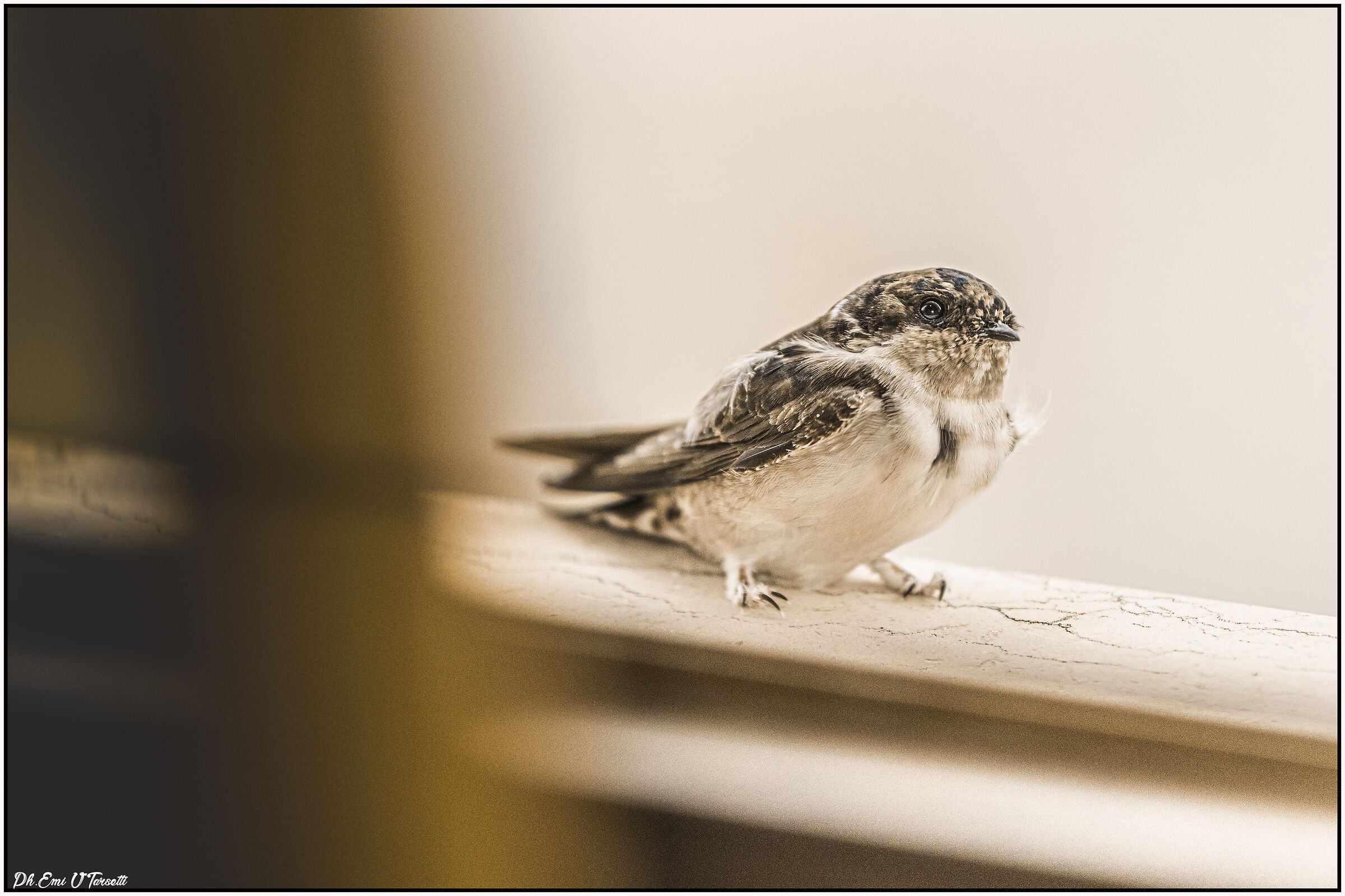 un saluto e vado...in africa....!!