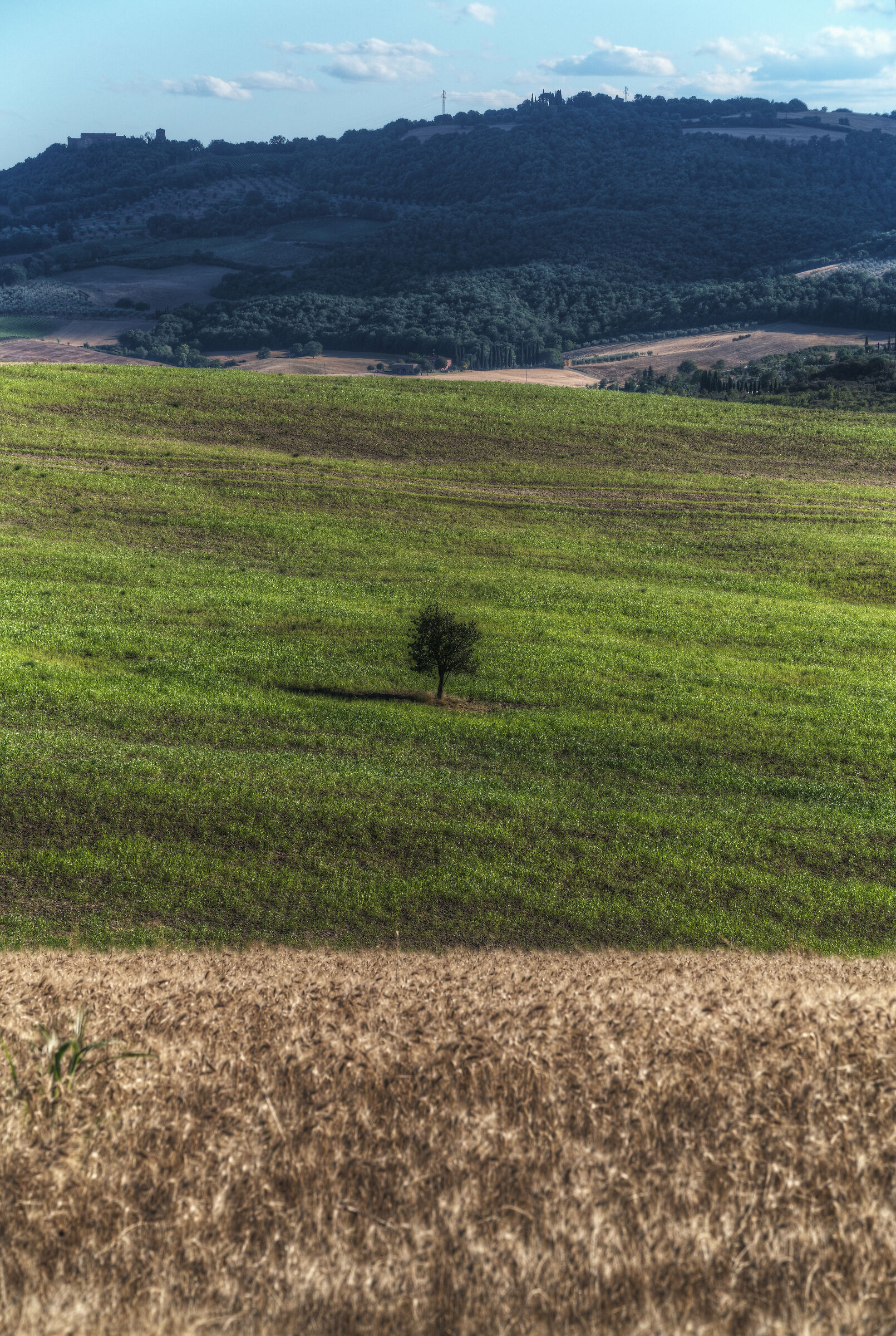 Val D'orcia