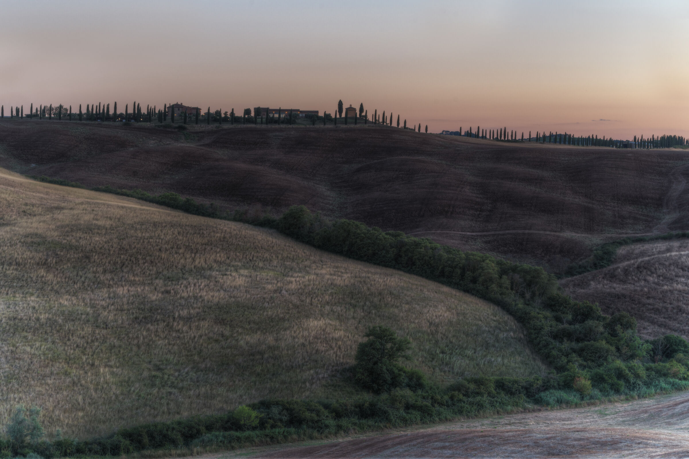 Sunset Cypress Val D'orcia