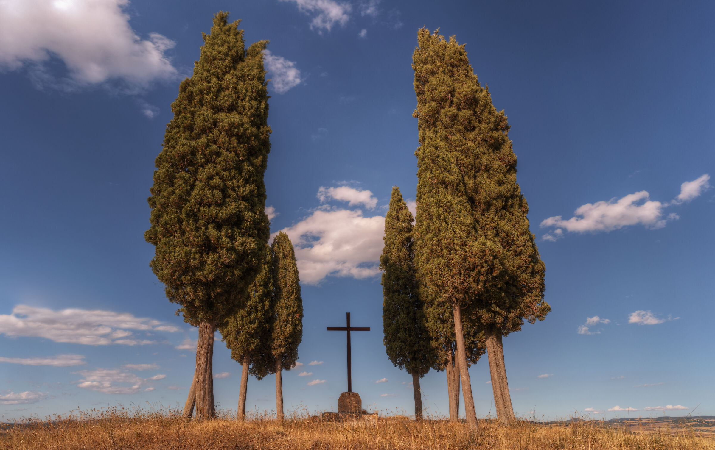 Cipresi Cross, Val D'orcia